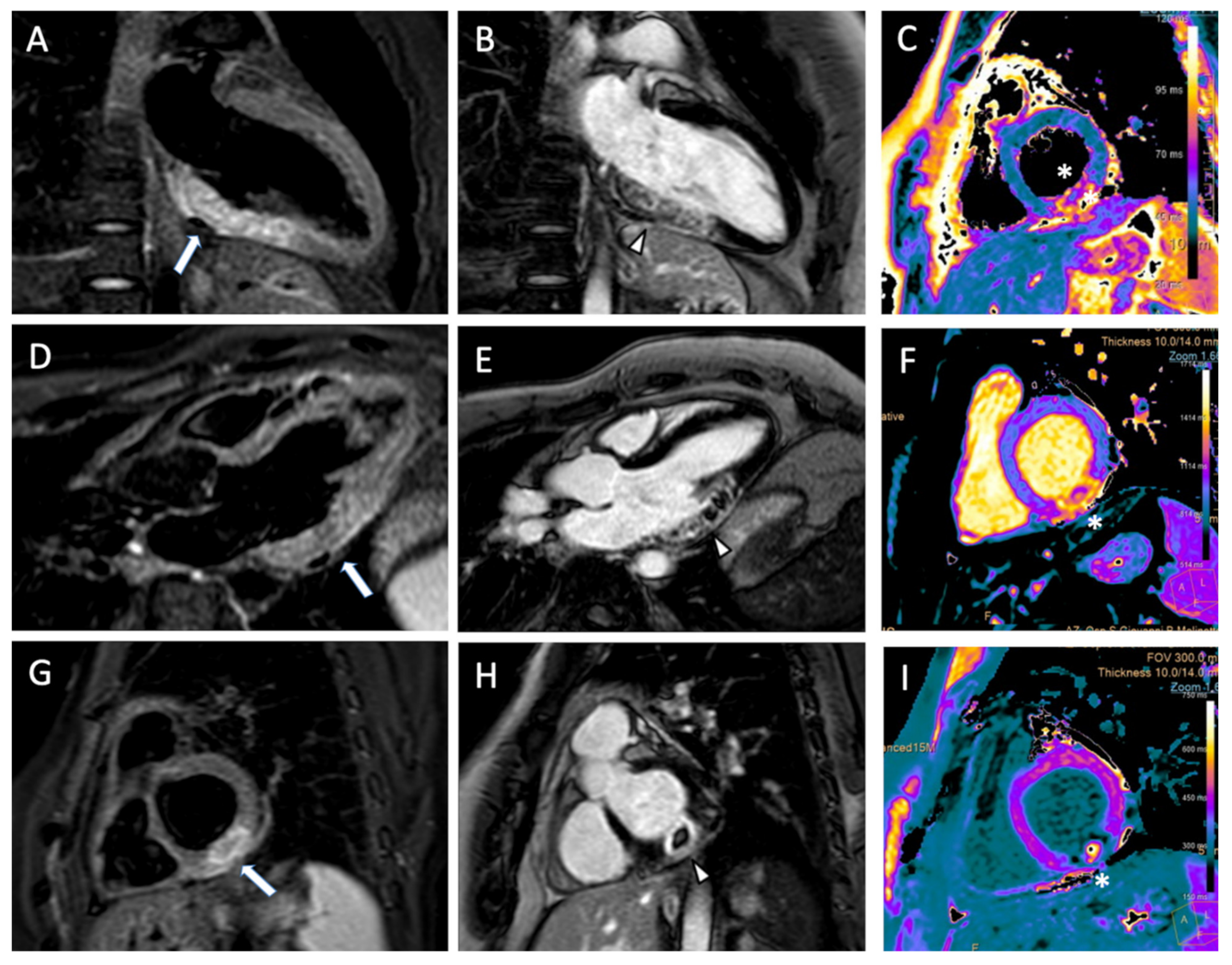 Jcm 11 05663 g003 Jcm 11 05663 g003