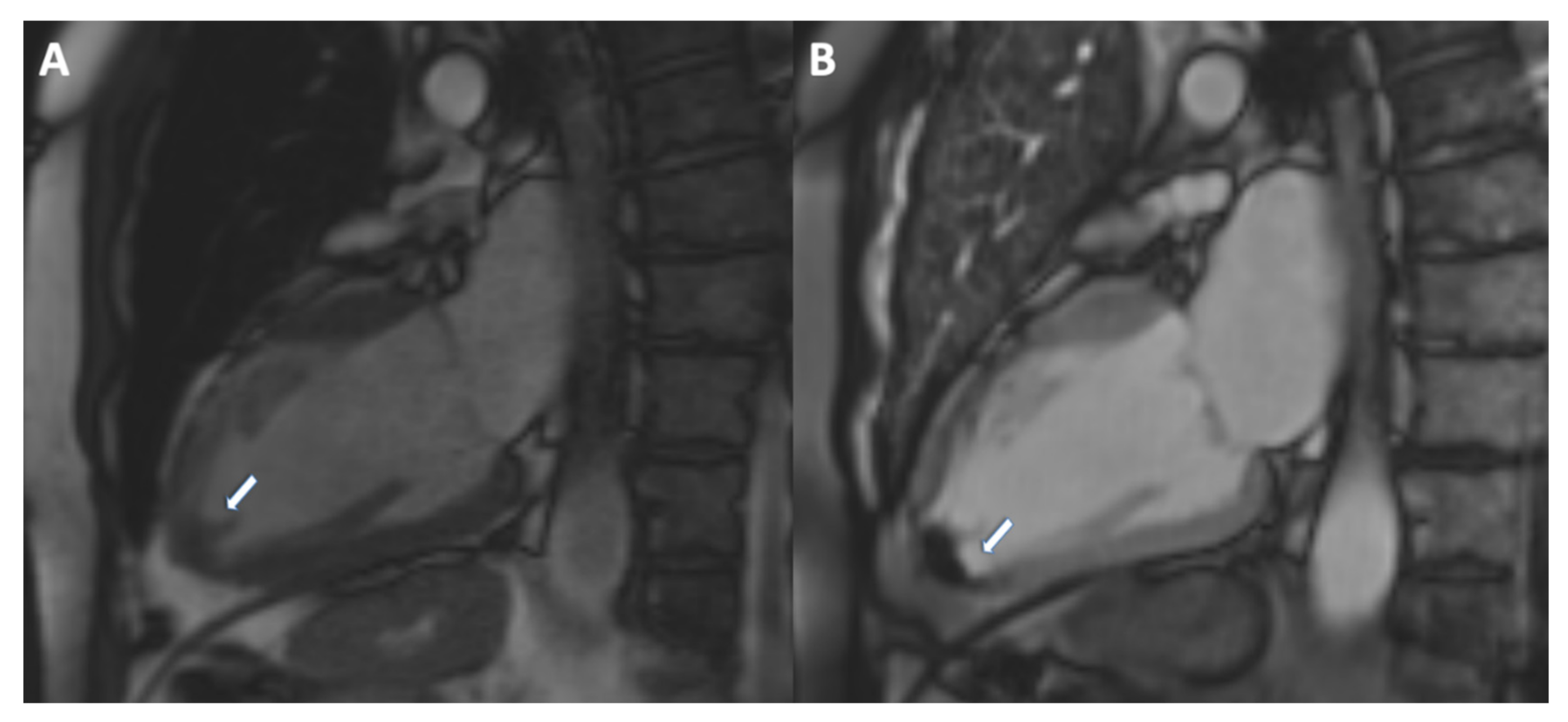 Jcm 11 05663 g004 Jcm 11 05663 g004