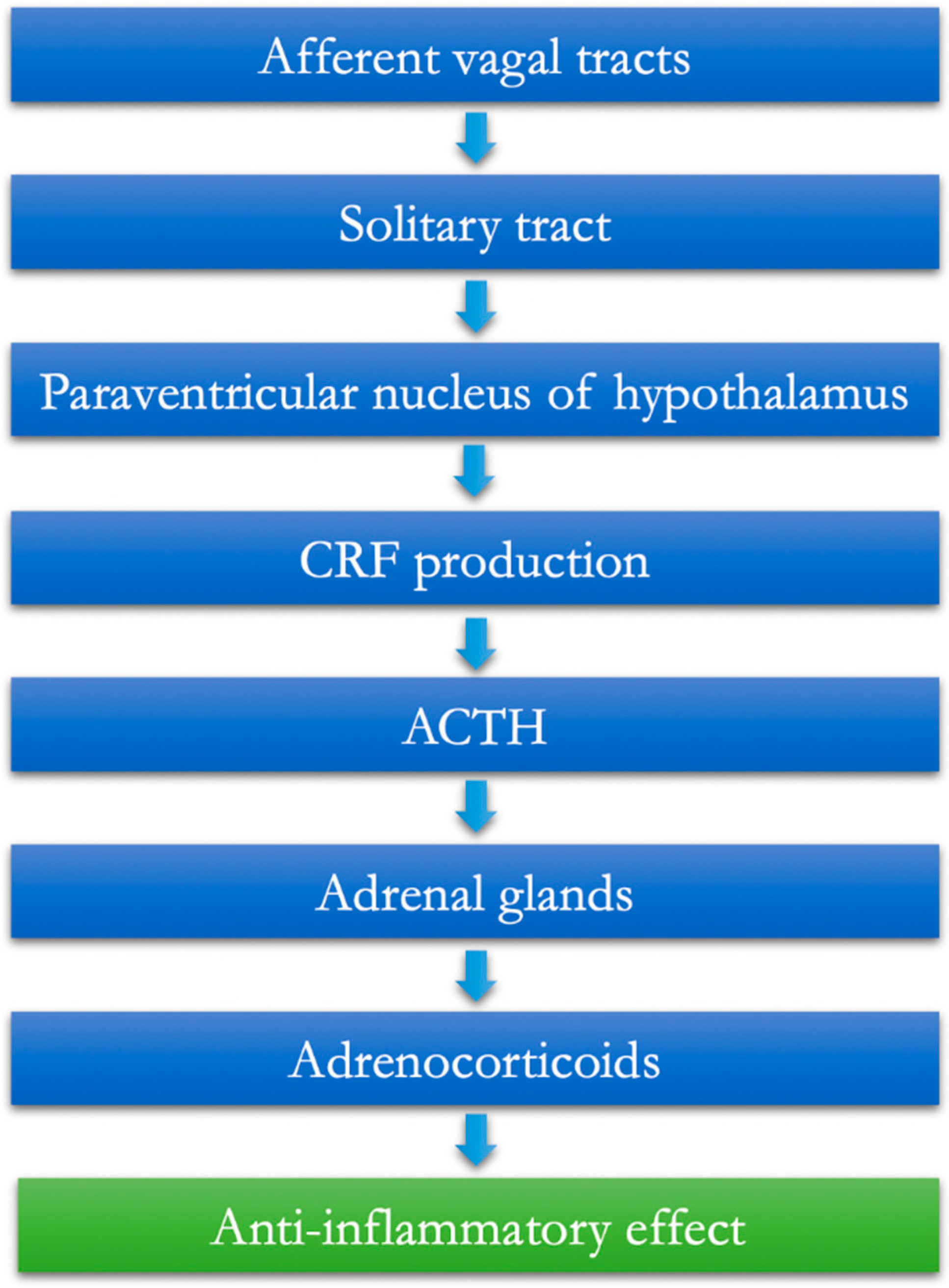 Jcm 11 05690 g001 Jcm 11 05690 g001