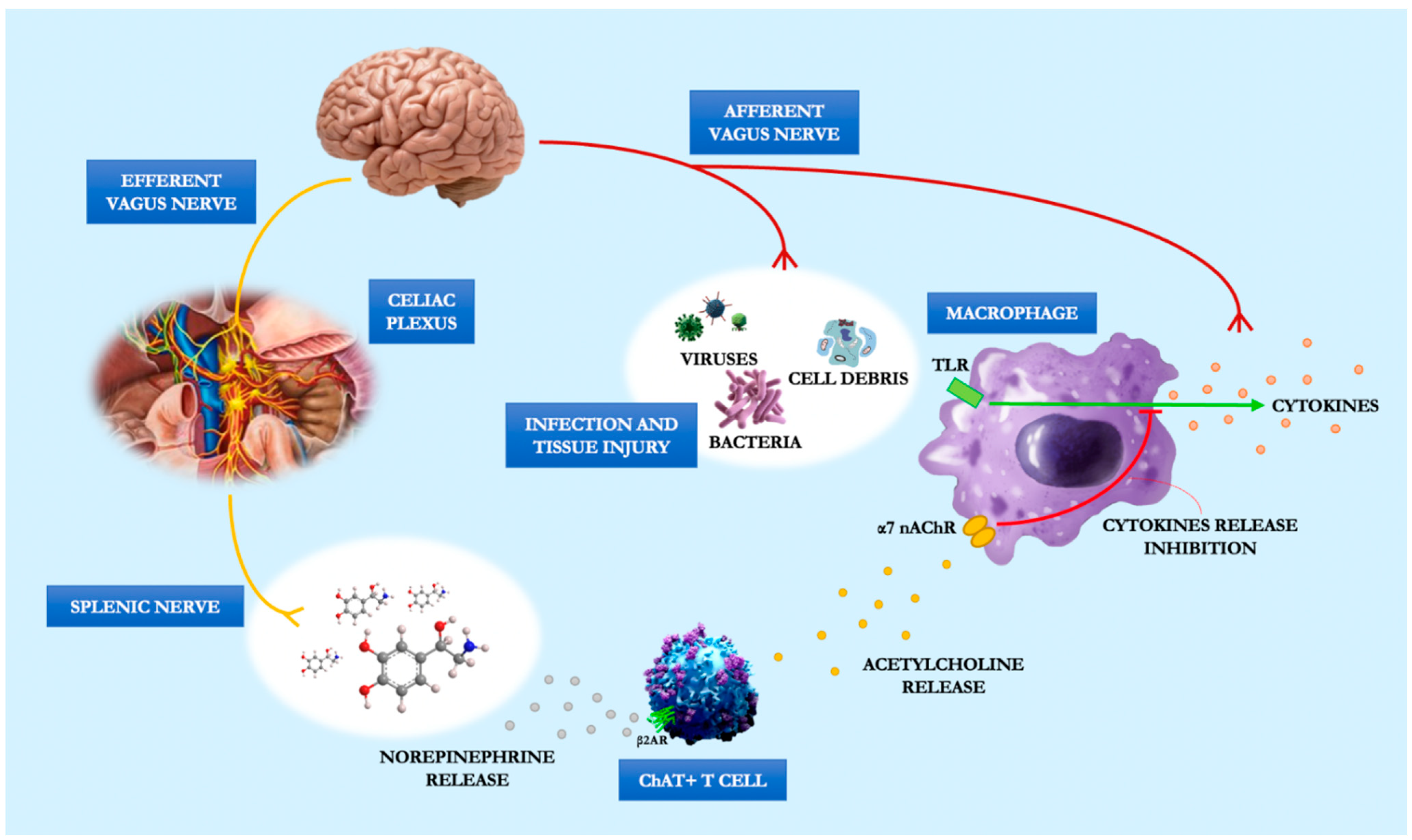 Jcm 11 05690 g002 Jcm 11 05690 g002