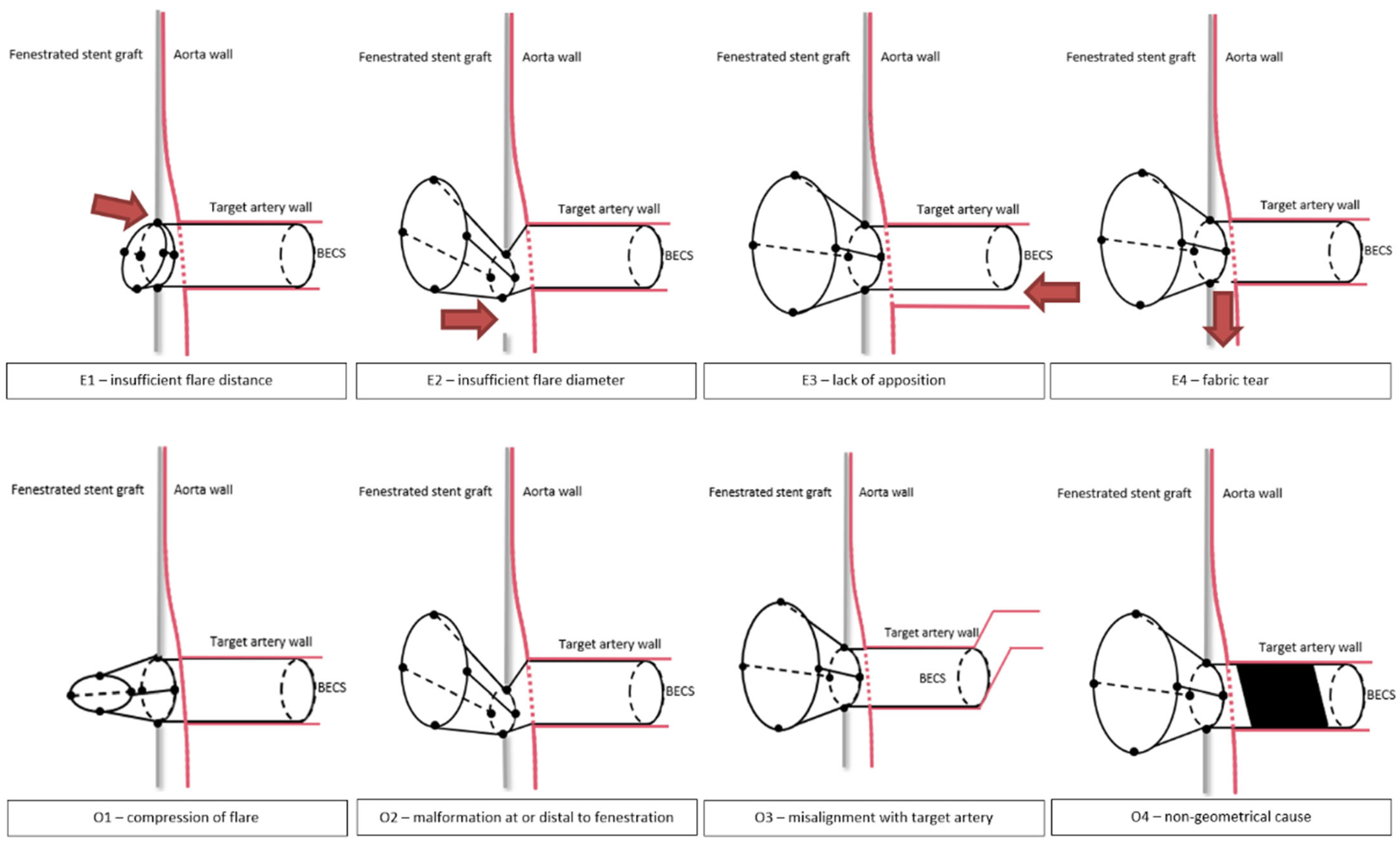 Jcm 11 05716 g002 Jcm 11 05716 g002
