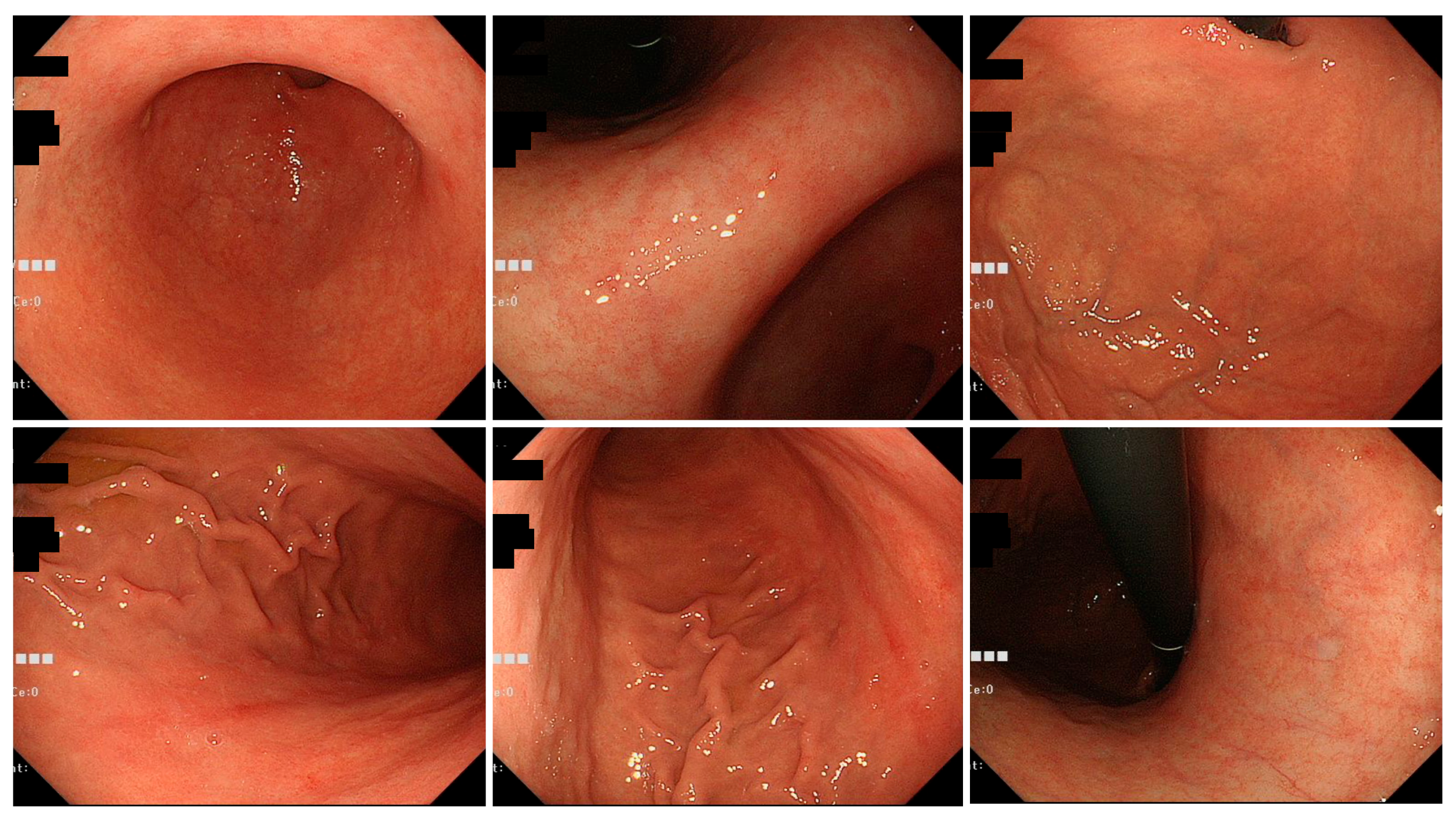Jcm 11 05739 g003 Jcm 11 05739 g003