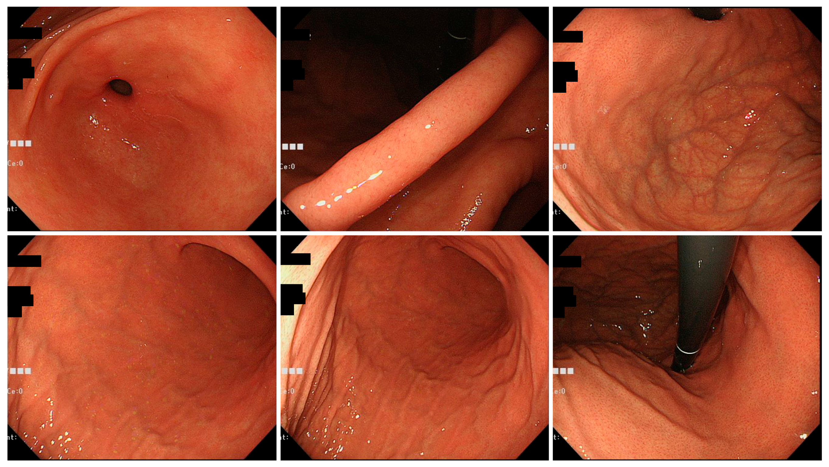 Jcm 11 05739 g004 Jcm 11 05739 g004