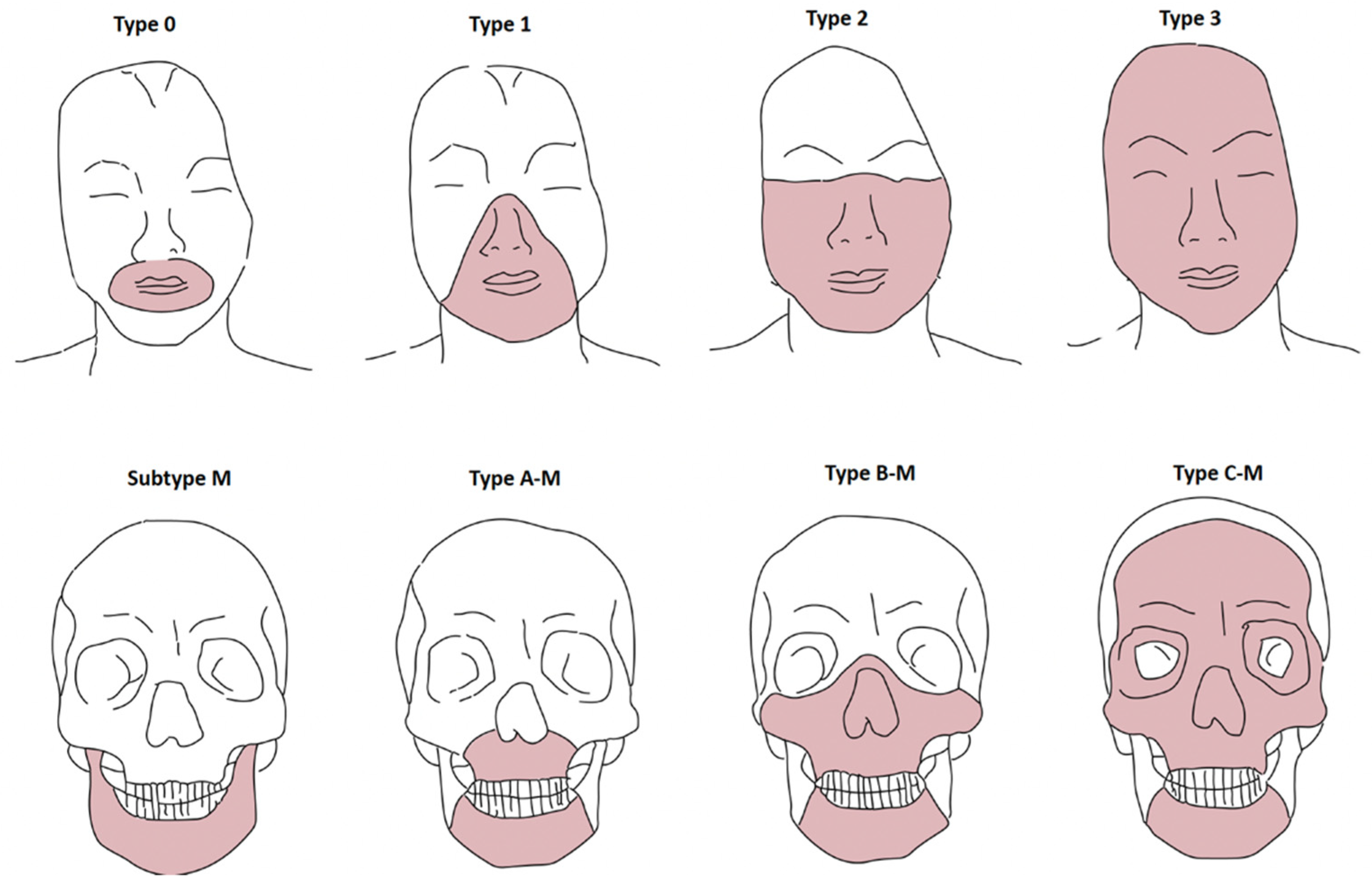 Jcm 11 05750 g002 Jcm 11 05750 g002