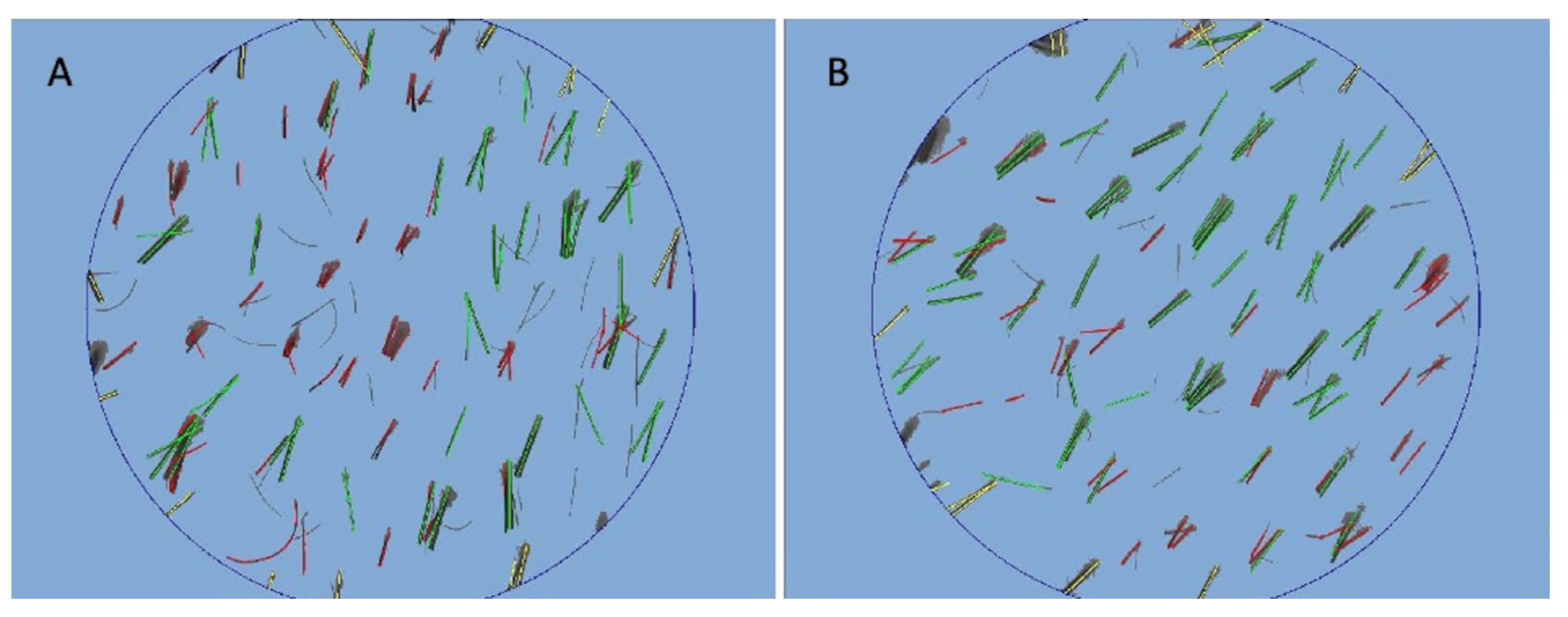 Jcm 11 05760 g005 Jcm 11 05760 g005