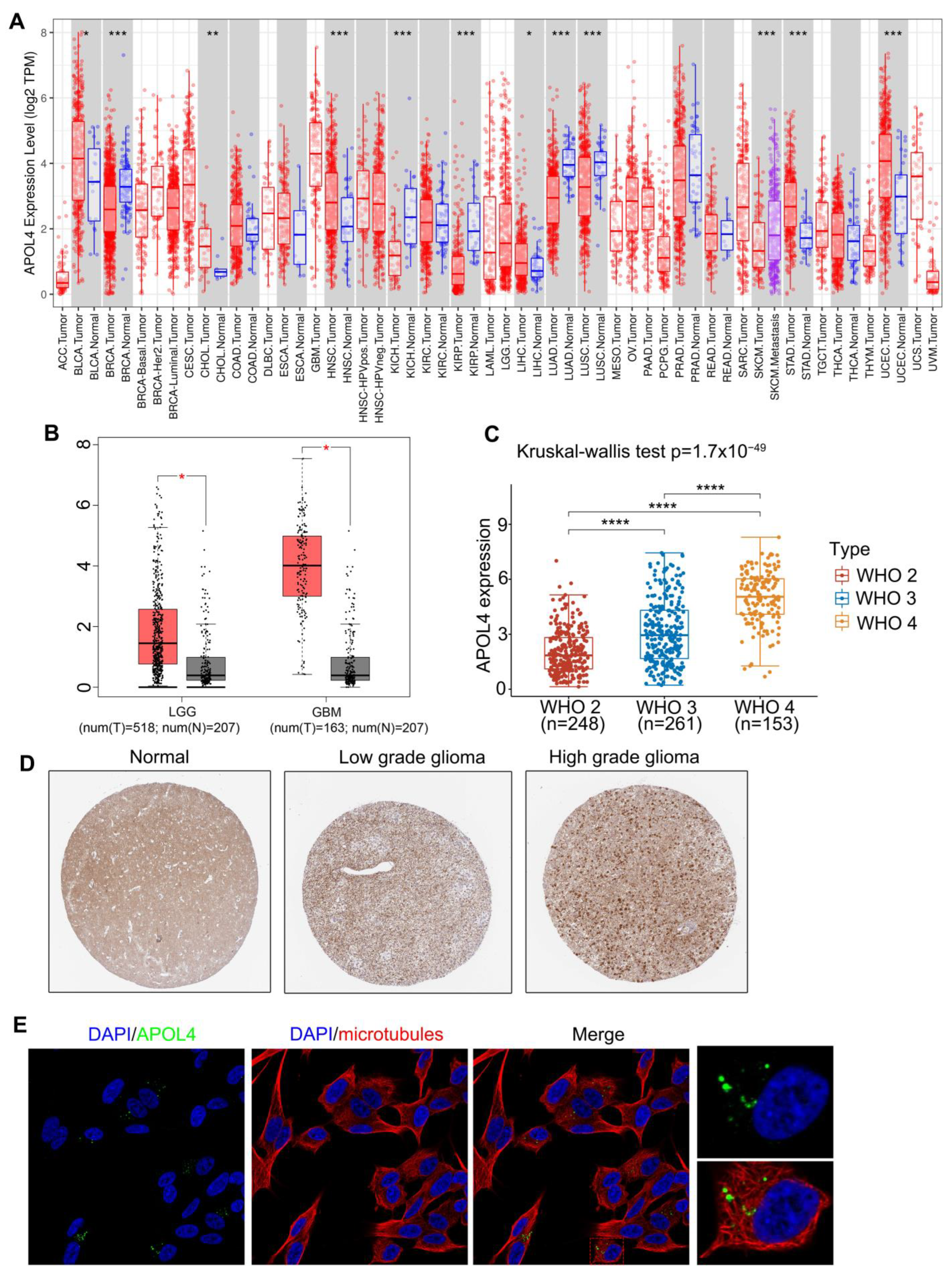 Jcm 11 05765 g001 Jcm 11 05765 g001