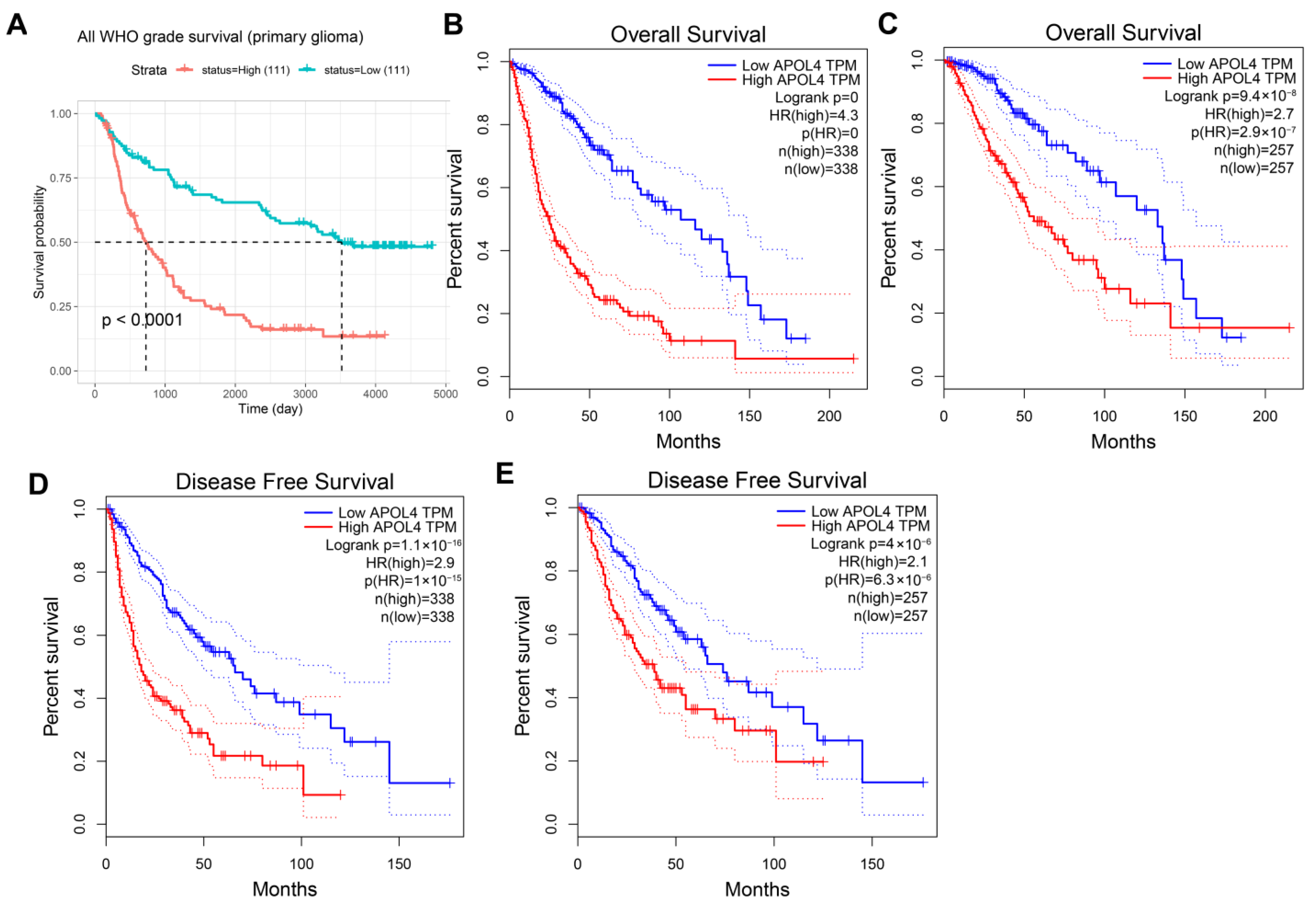 Jcm 11 05765 g003 Jcm 11 05765 g003