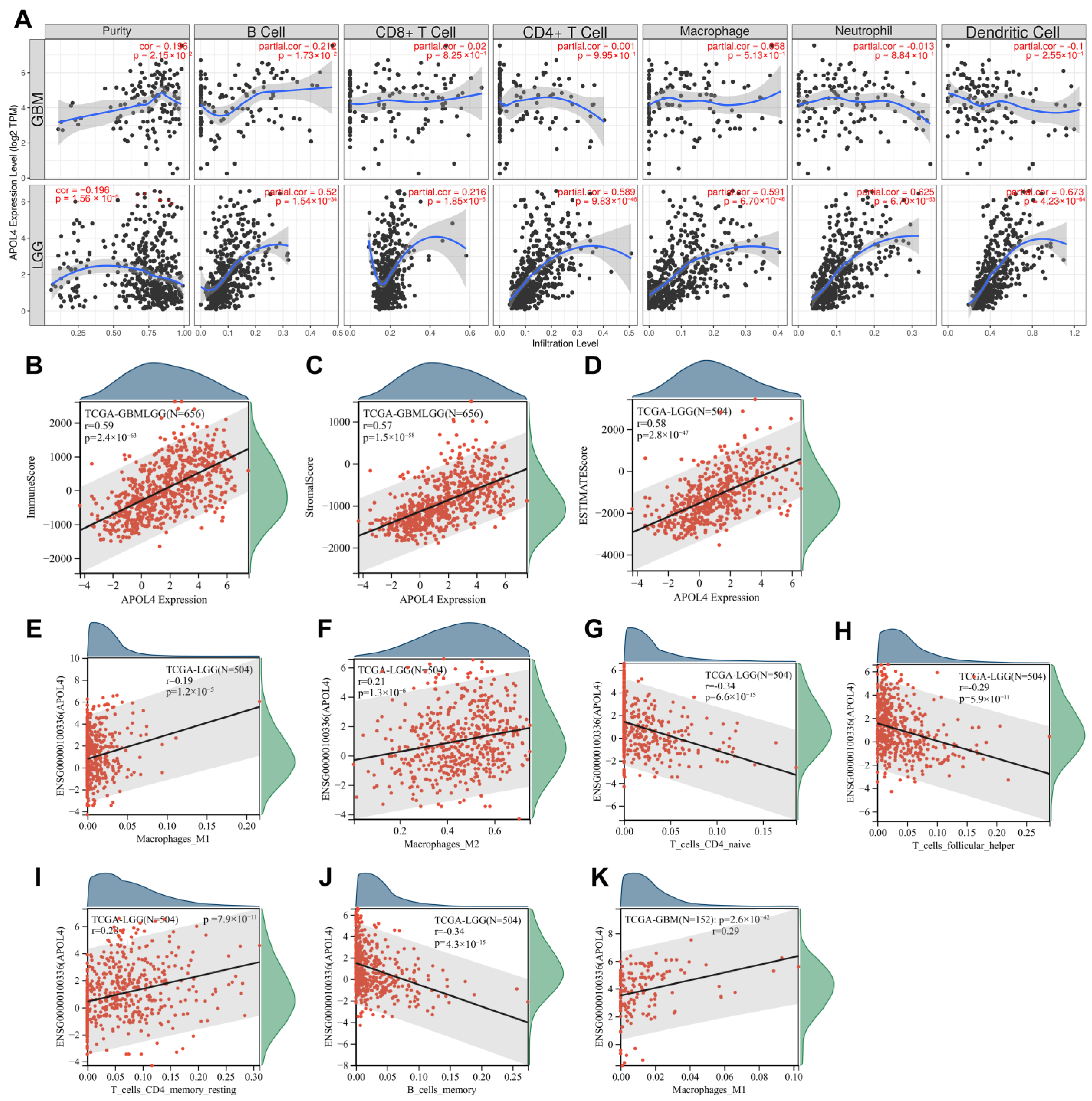 Jcm 11 05765 g004 Jcm 11 05765 g004