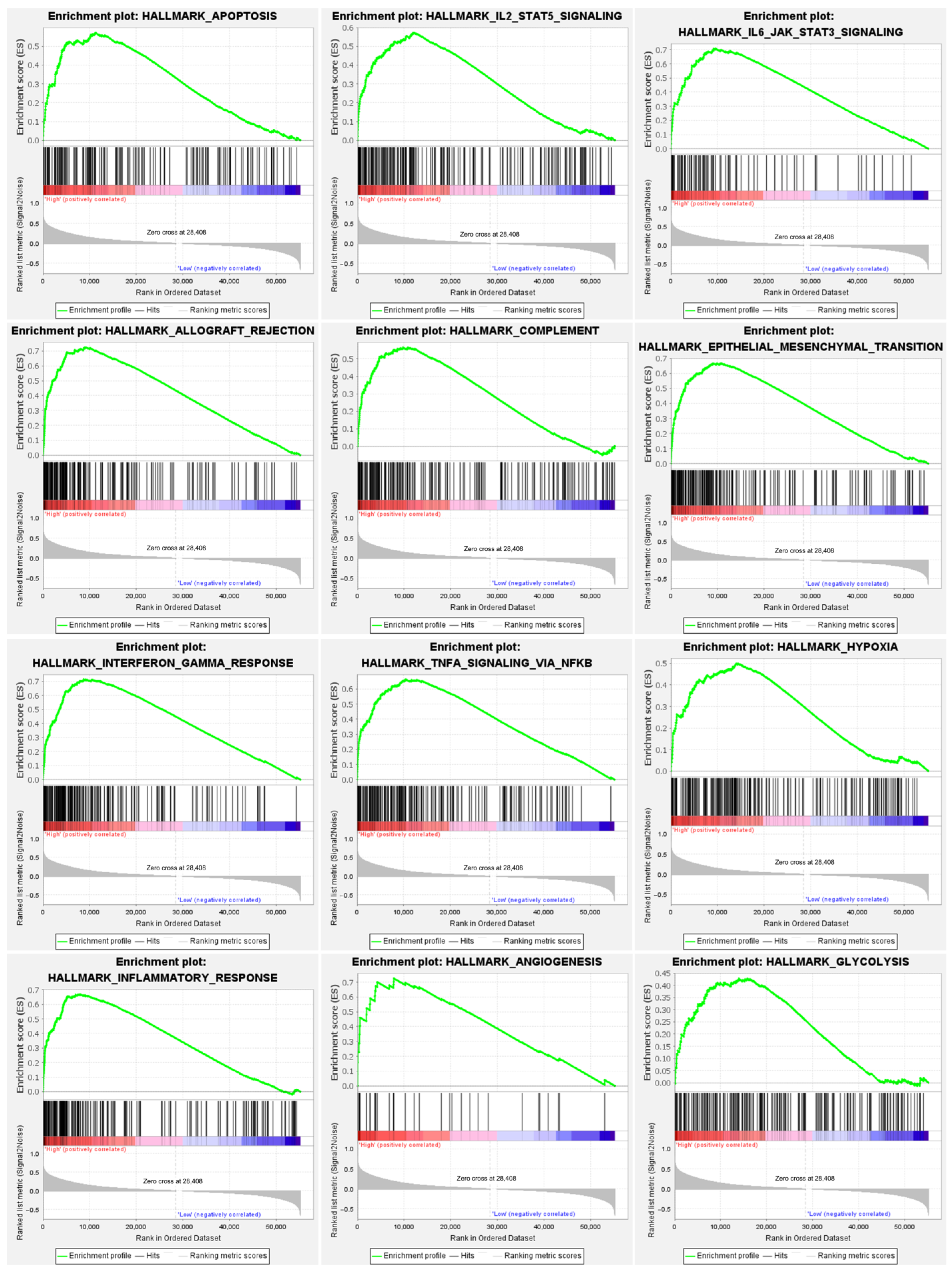 Jcm 11 05765 g007 Jcm 11 05765 g007