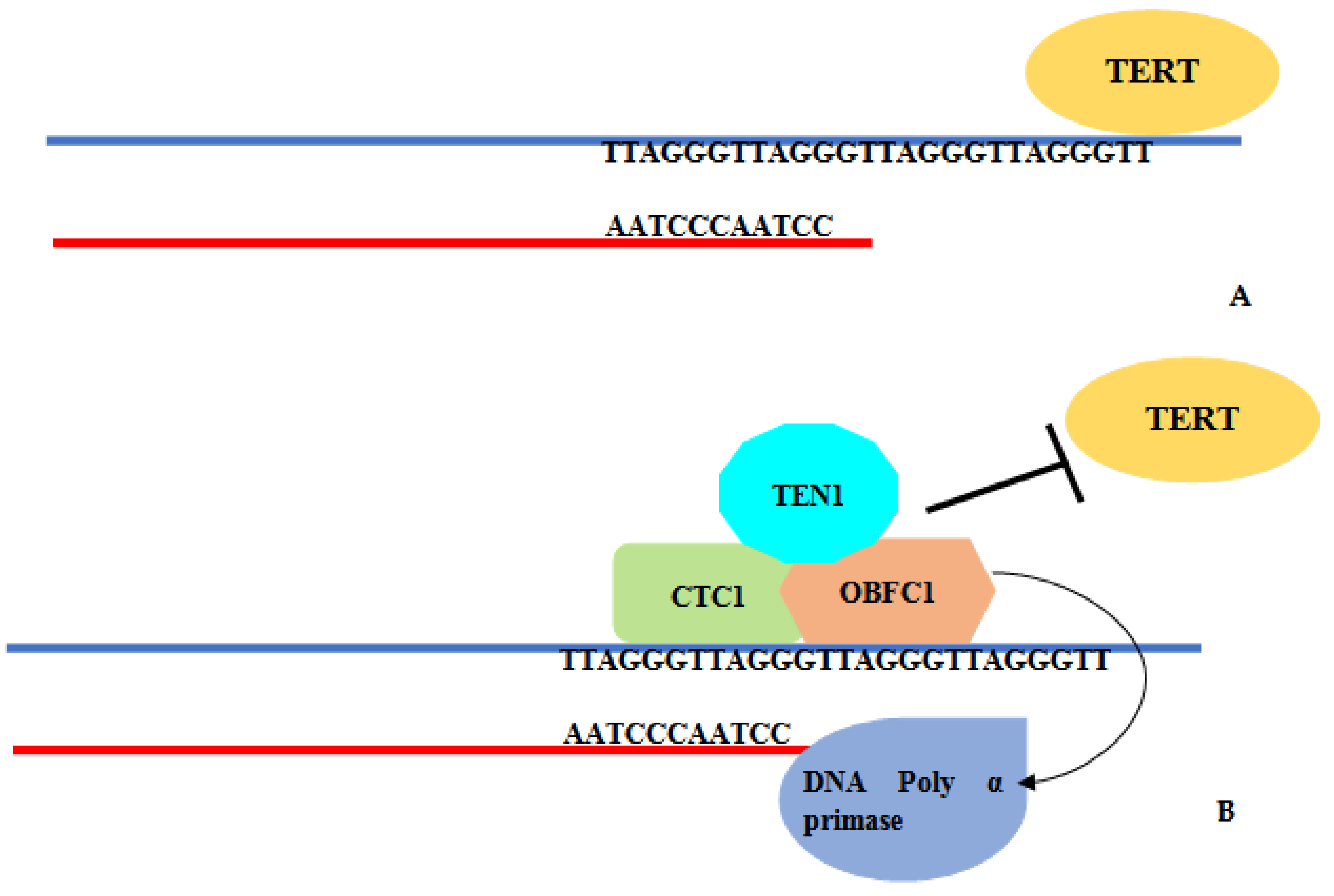 Jcm 11 05780 g001 Jcm 11 05780 g001