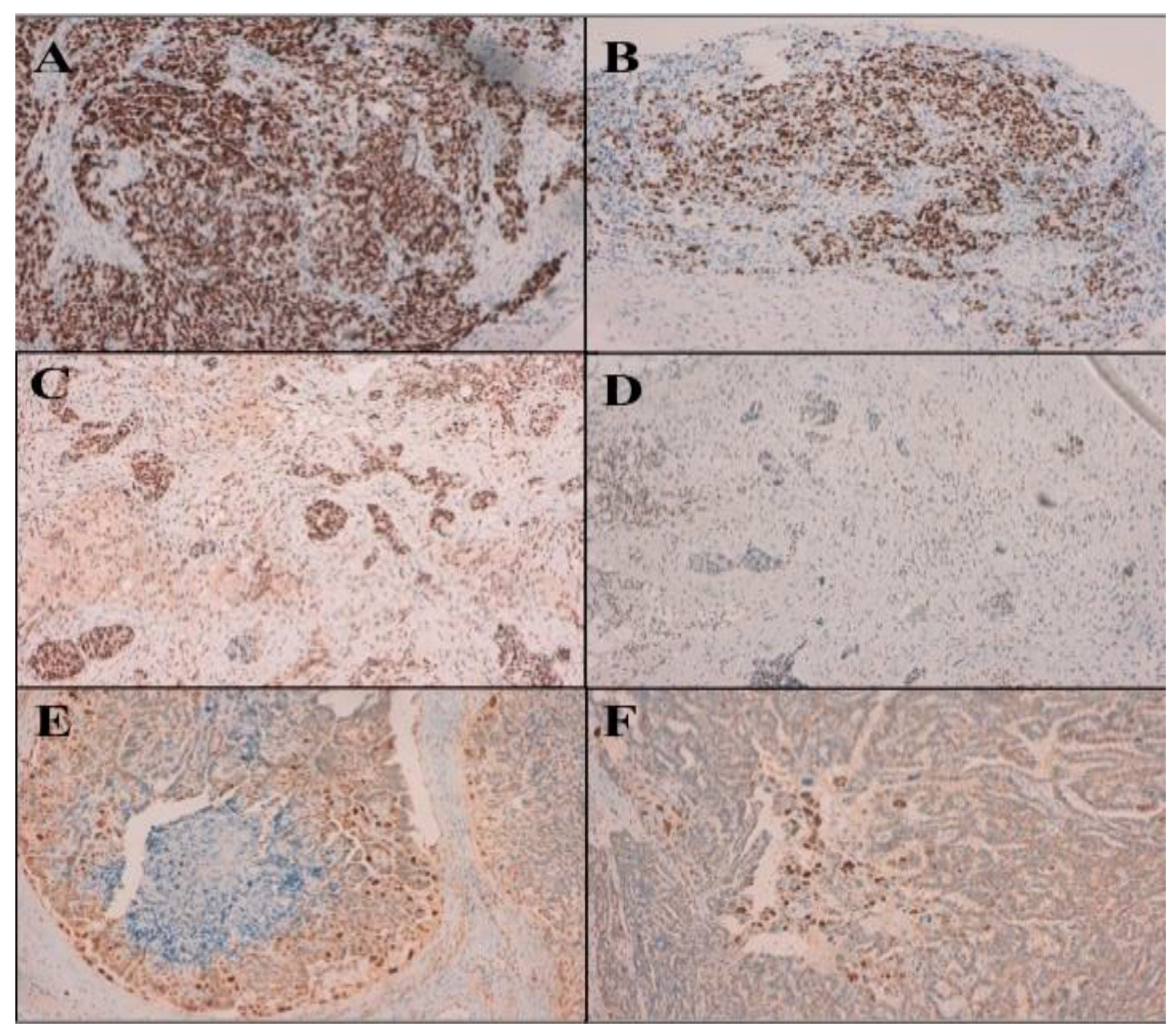 Jcm 11 05785 g002 Jcm 11 05785 g002