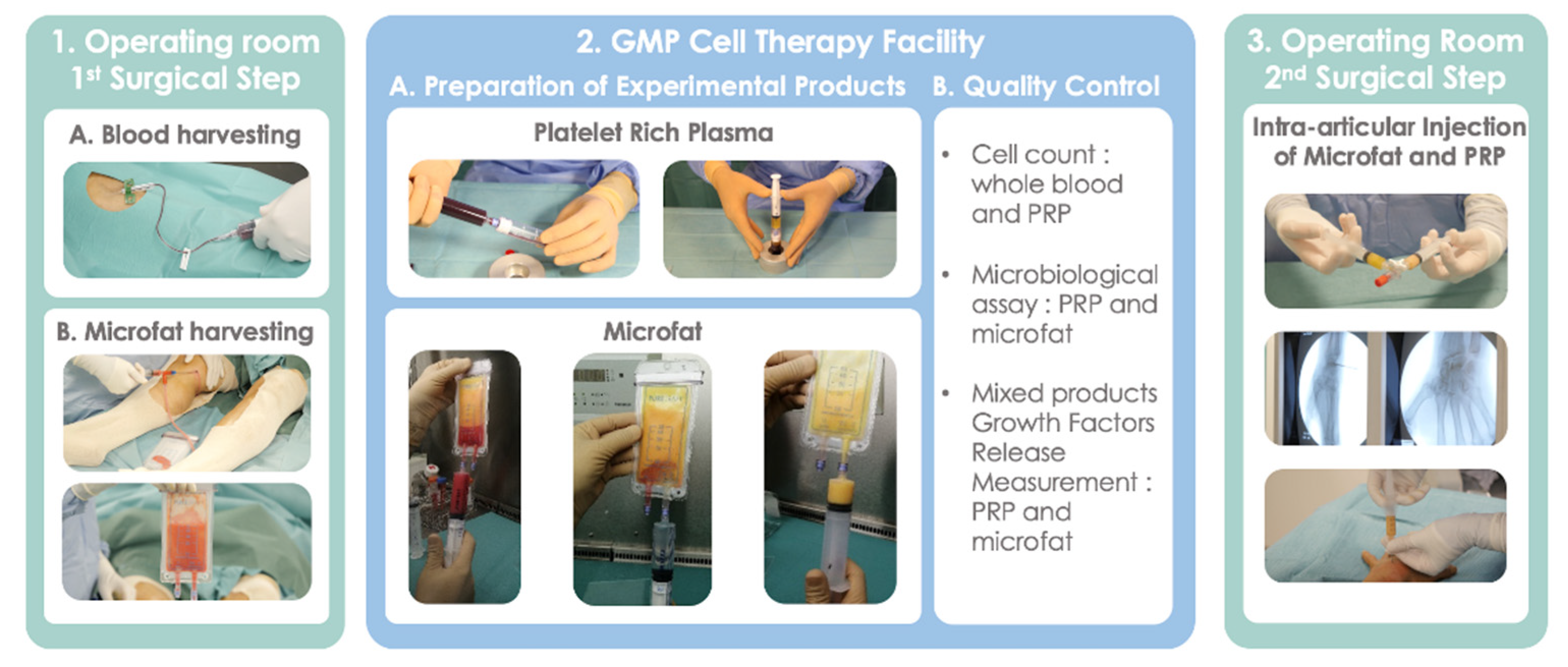 Jcm 11 05786 g001 Jcm 11 05786 g001