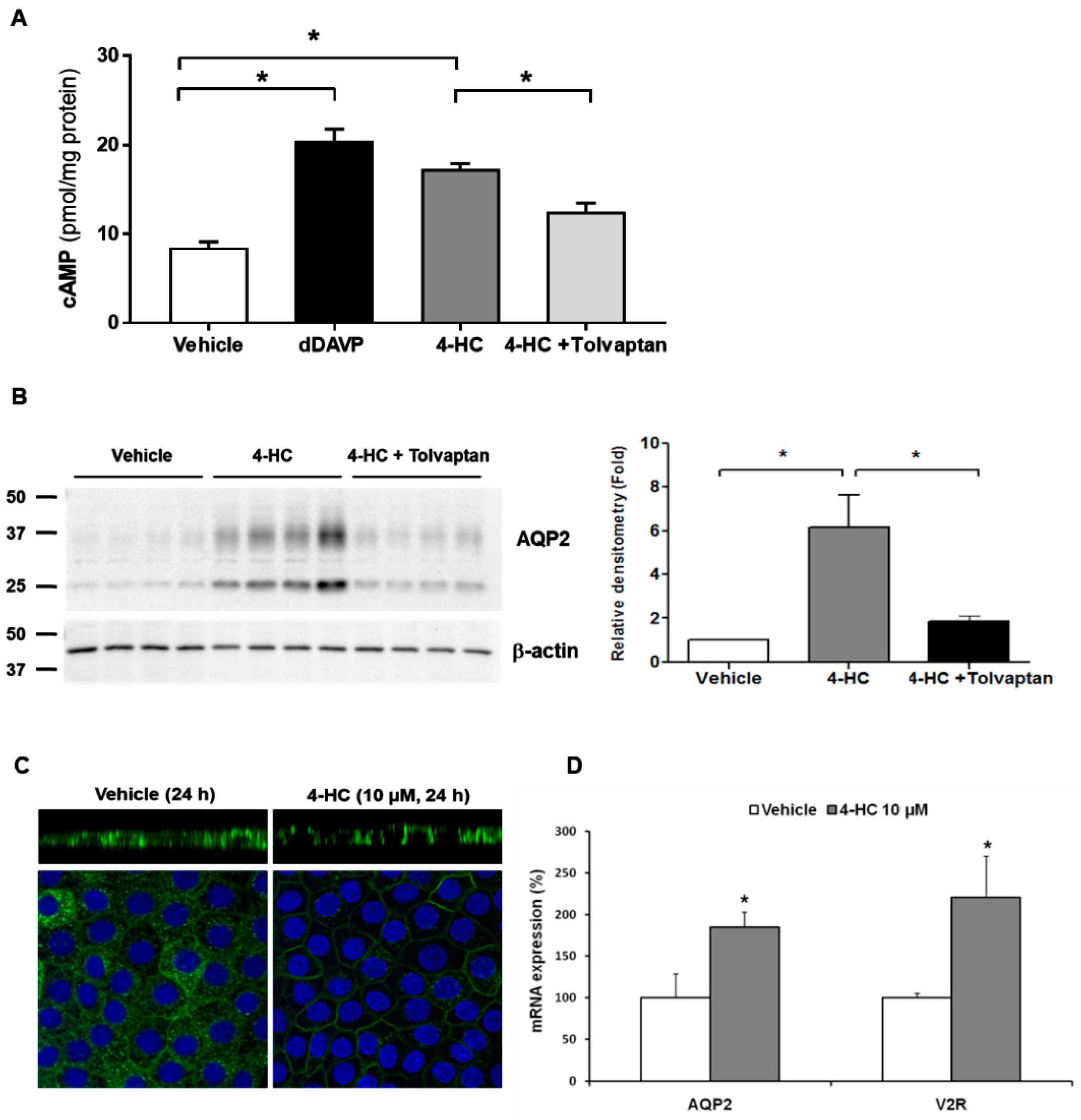 Jcm 11 05810 g001 Jcm 11 05810 g001