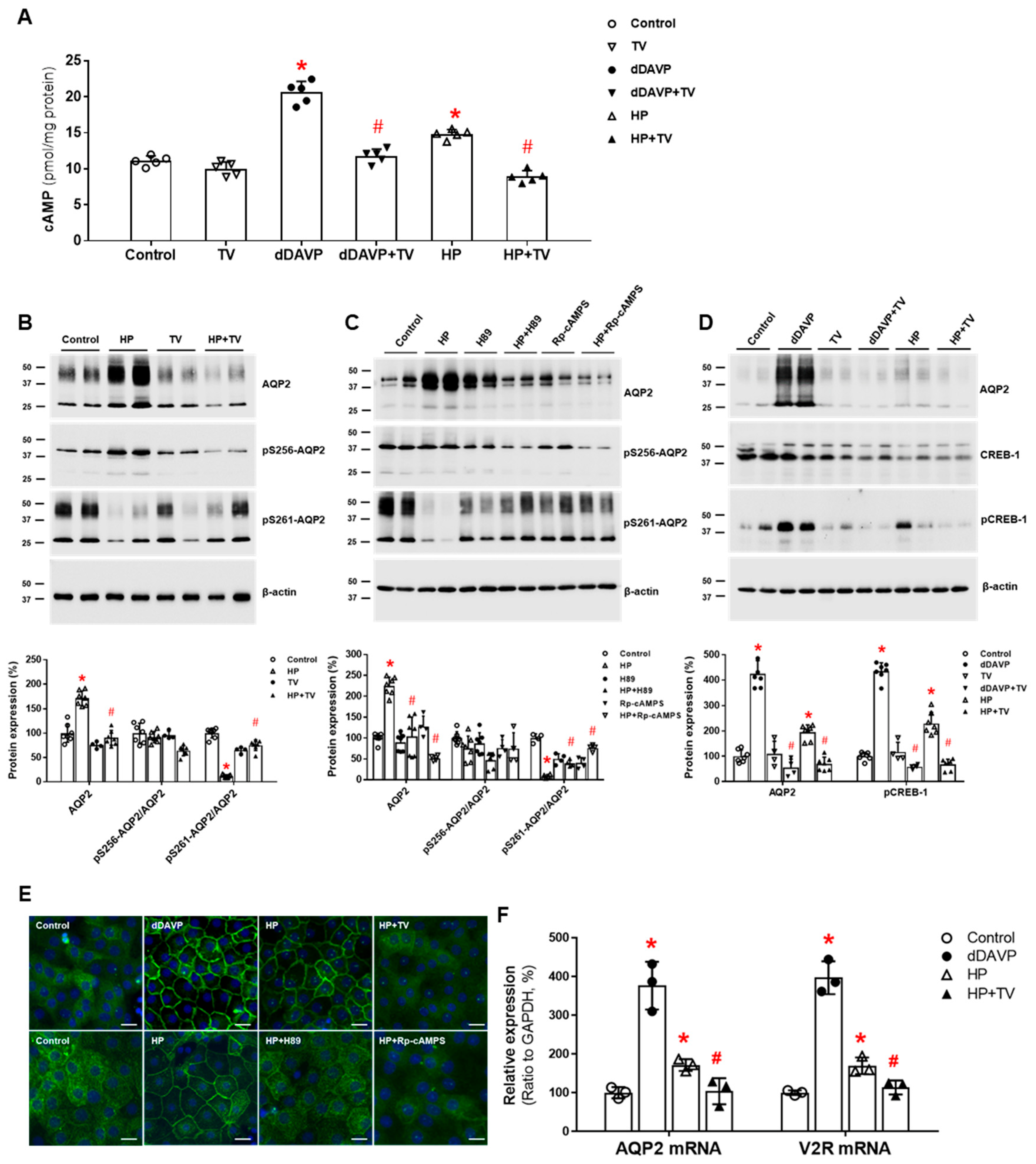 Jcm 11 05810 g002 Jcm 11 05810 g002