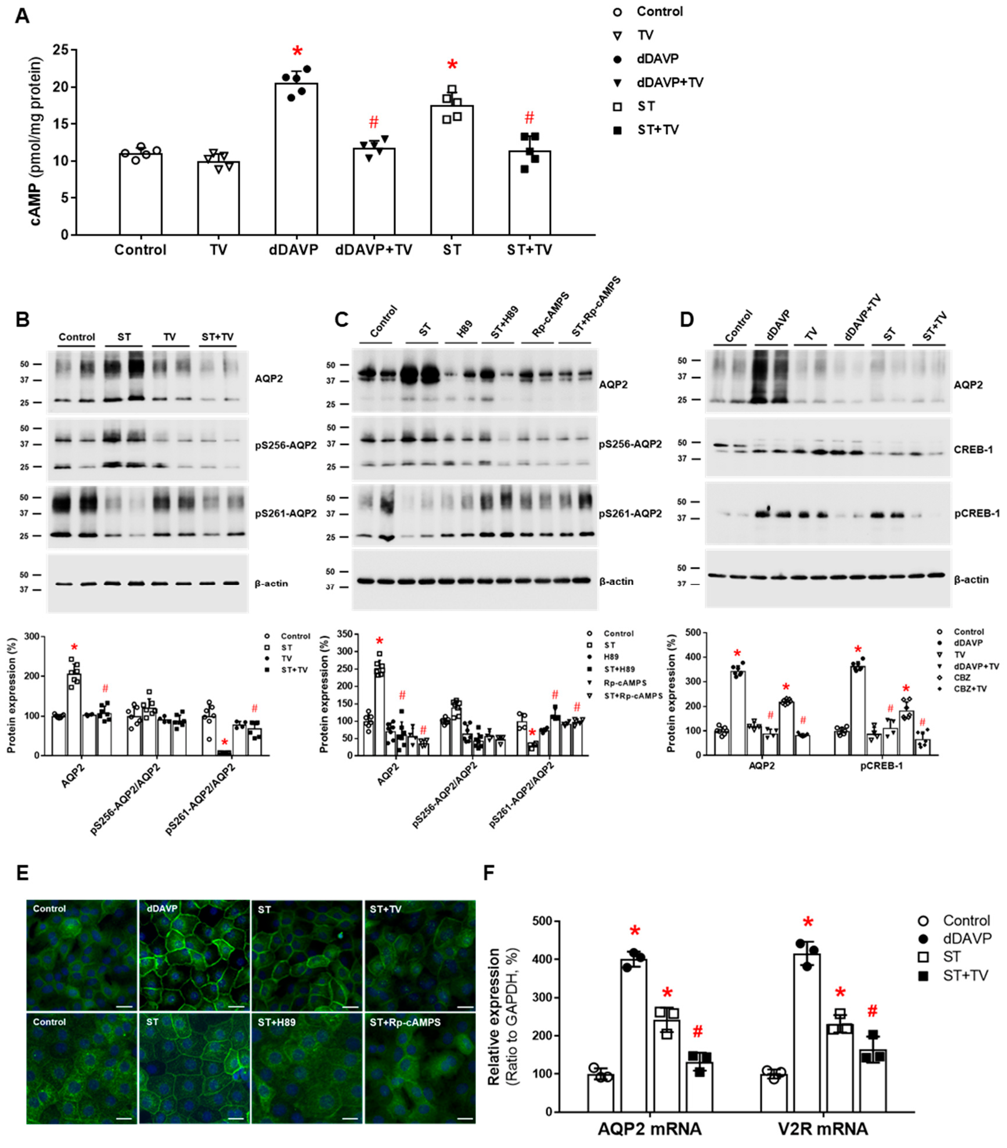 Jcm 11 05810 g003 Jcm 11 05810 g003