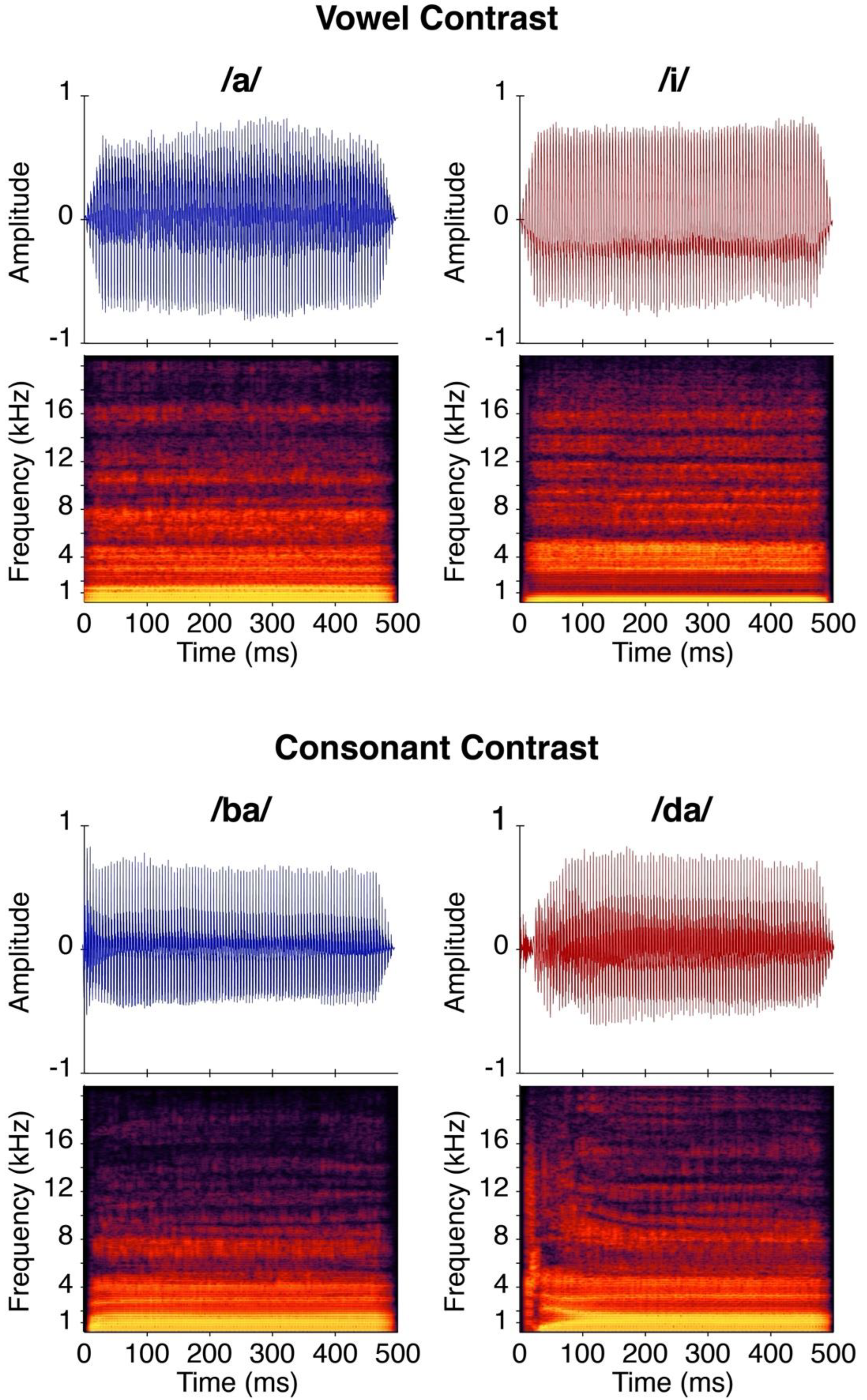 Jcm 11 05821 g001 Jcm 11 05821 g001
