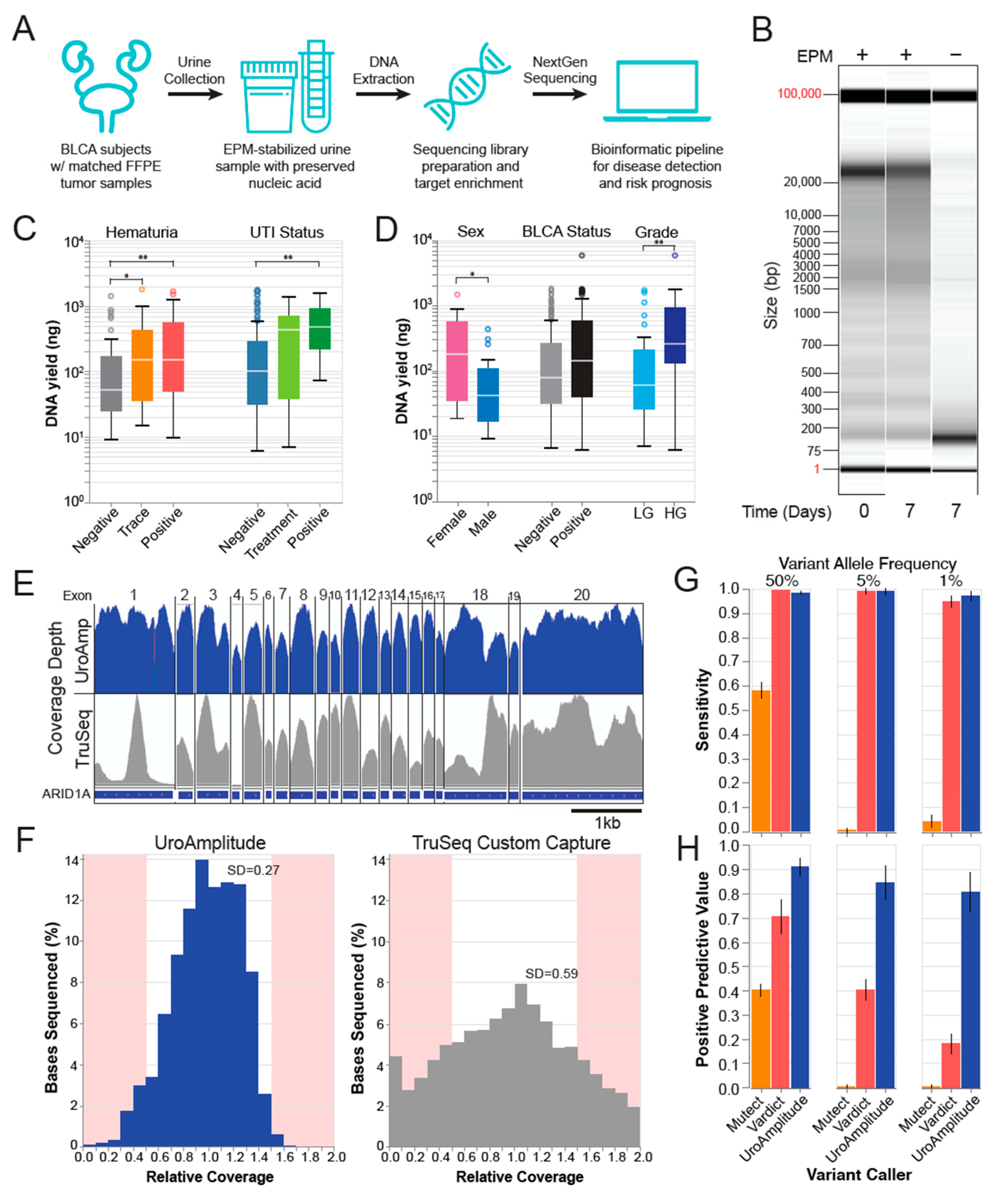 Jcm 11 05827 g001 Jcm 11 05827 g001