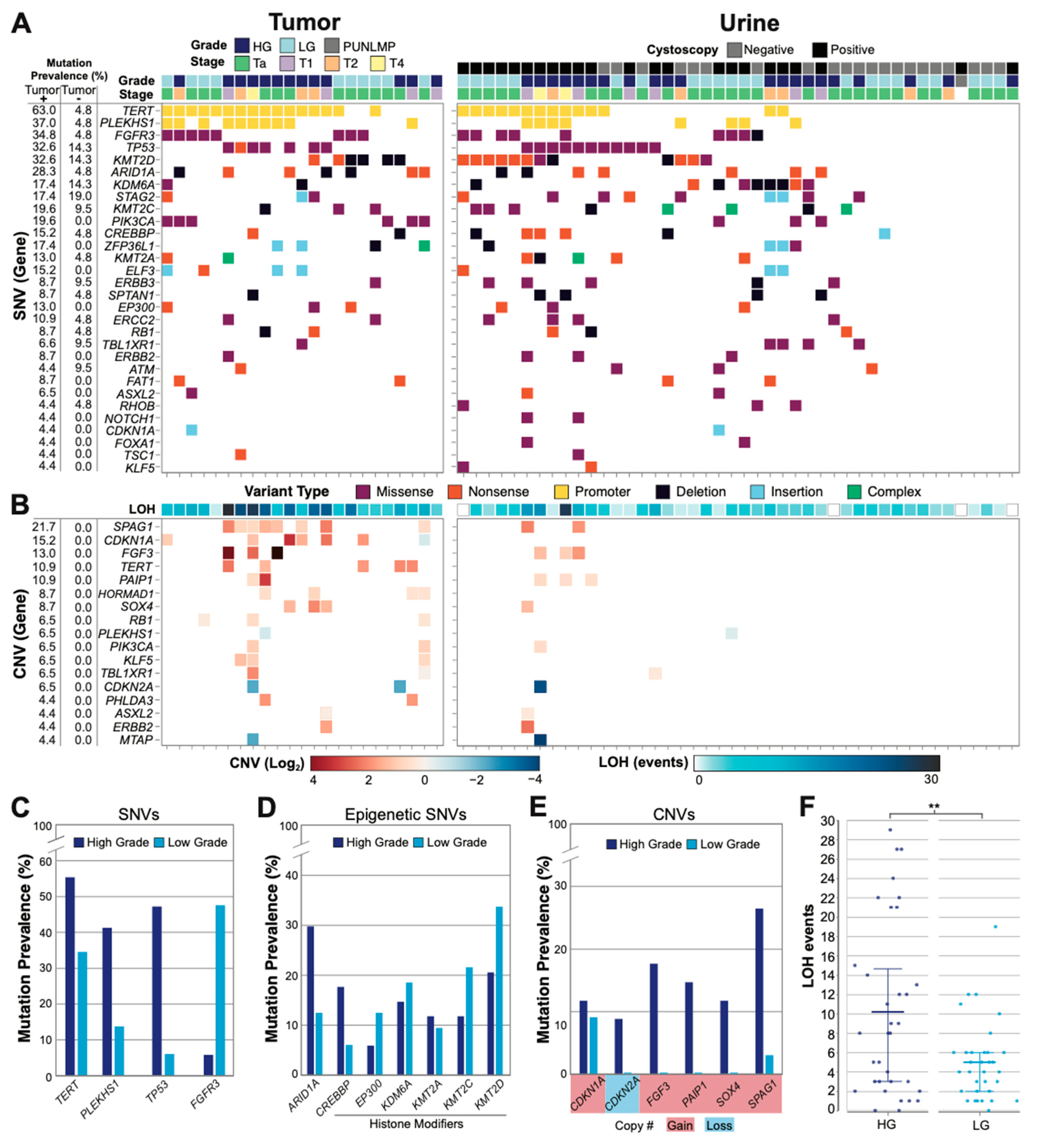 Jcm 11 05827 g002 Jcm 11 05827 g002