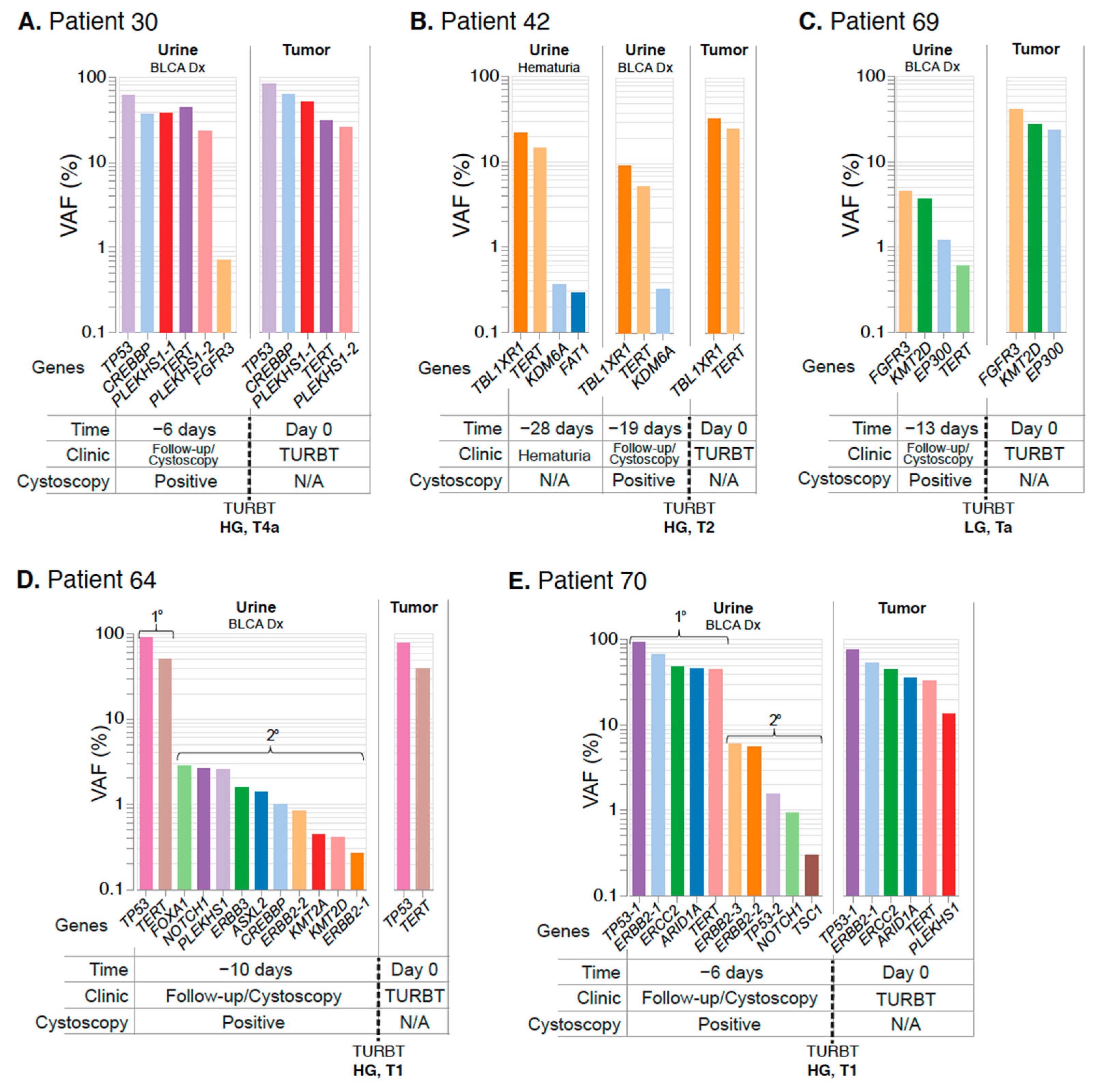 Jcm 11 05827 g004 Jcm 11 05827 g004