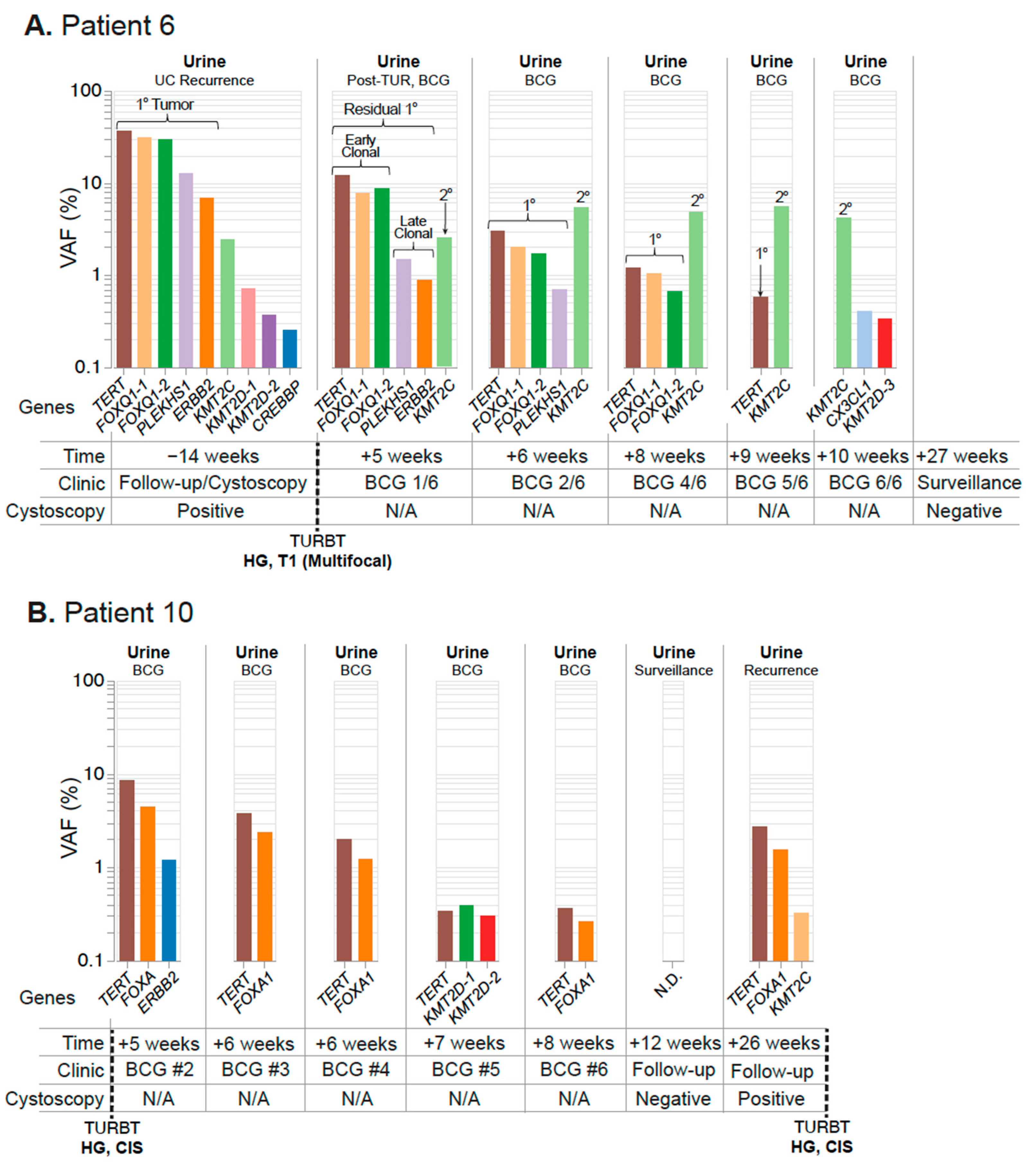 Jcm 11 05827 g007 Jcm 11 05827 g007