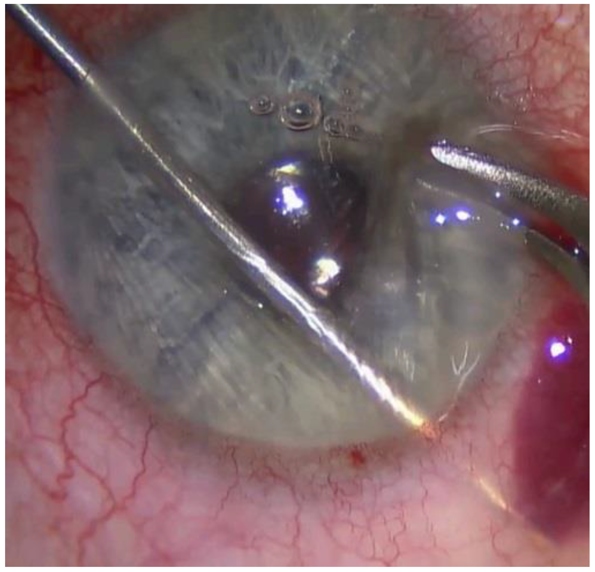 Jcm 11 05840 g001 Jcm 11 05840 g001