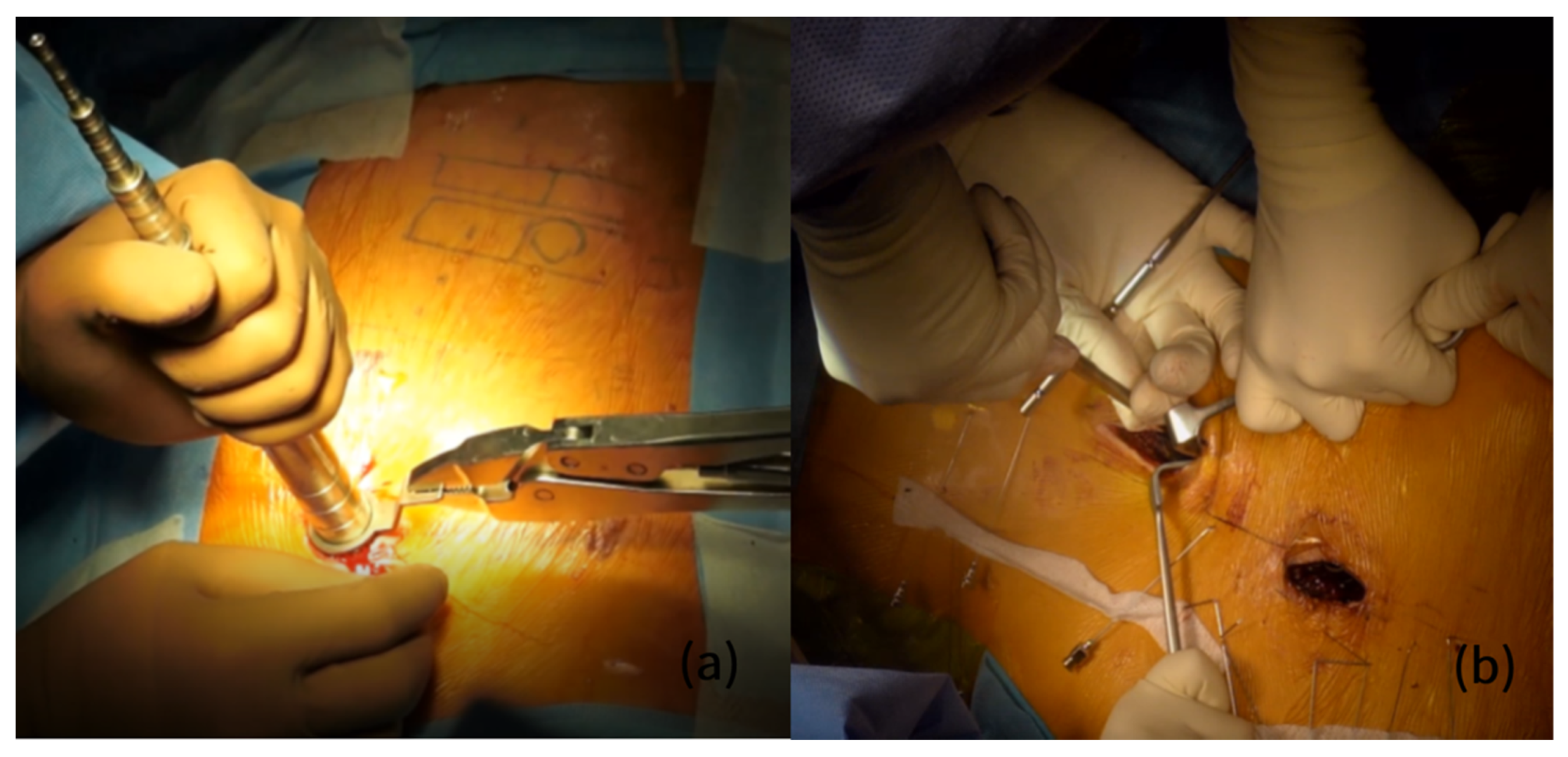 Jcm 11 05847 g001 Jcm 11 05847 g001