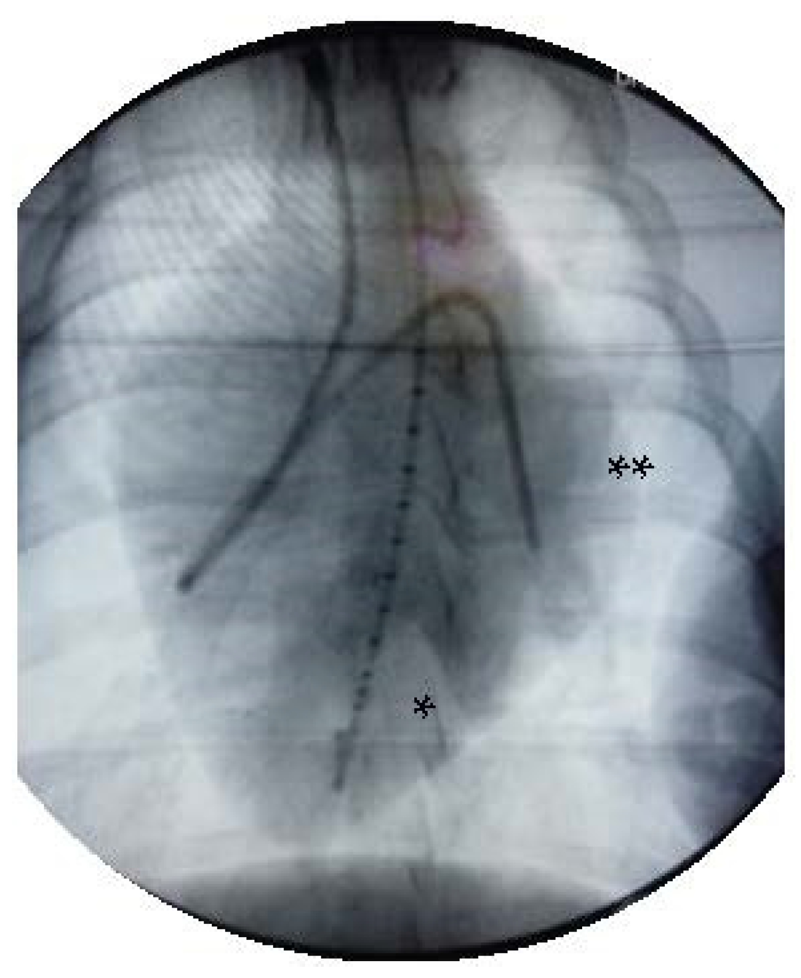 Jcm 11 05858 g001 Jcm 11 05858 g001