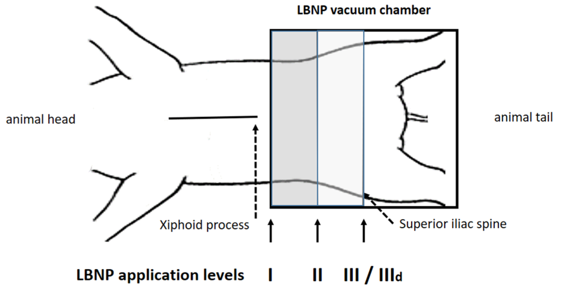 Jcm 11 05858 g002 Jcm 11 05858 g002