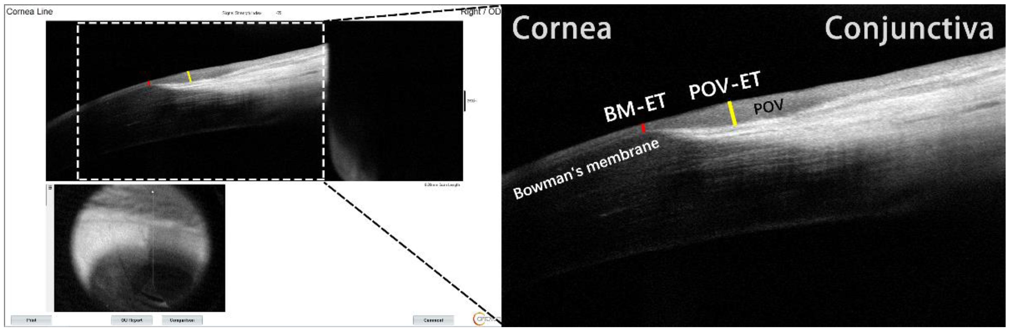 Jcm 11 05879 g001 Jcm 11 05879 g001