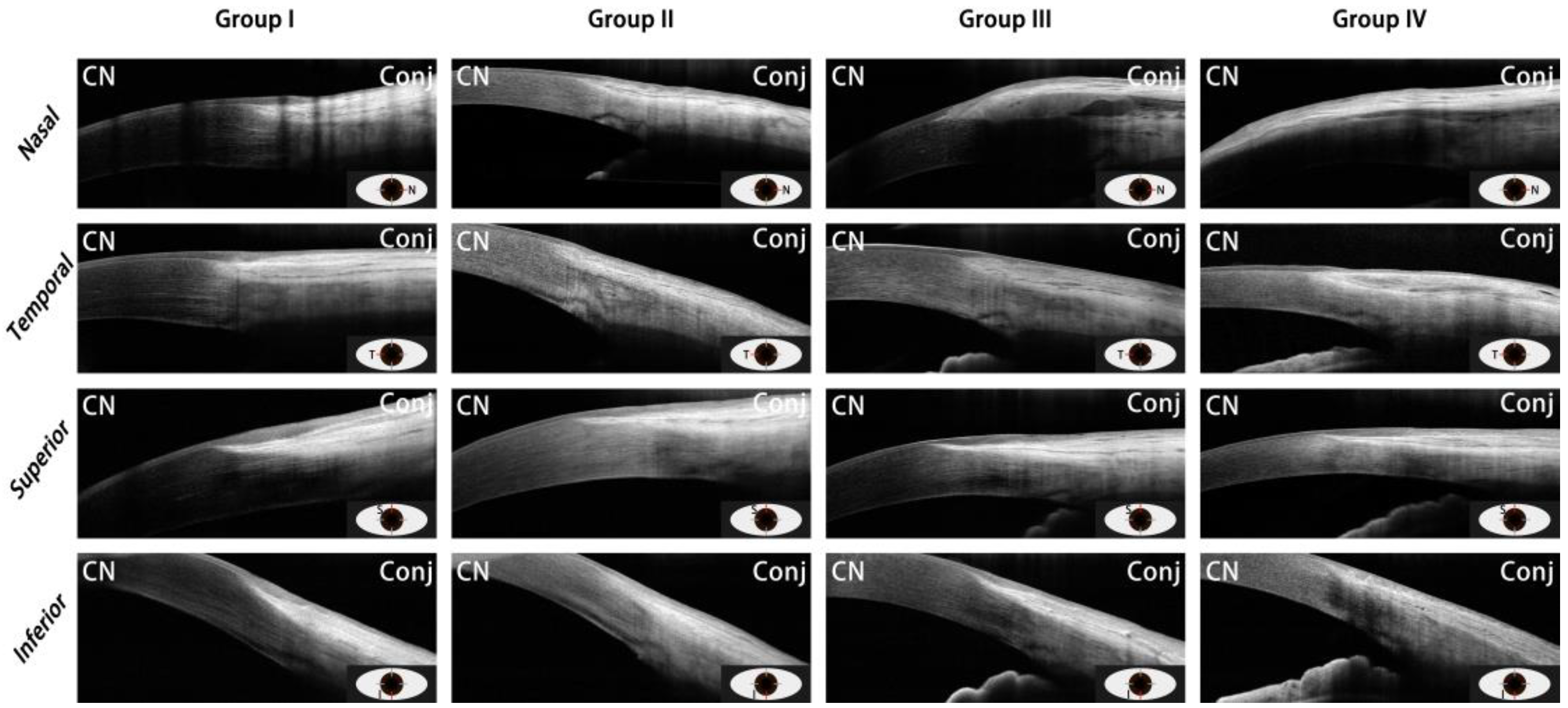 Jcm 11 05879 g002 Jcm 11 05879 g002