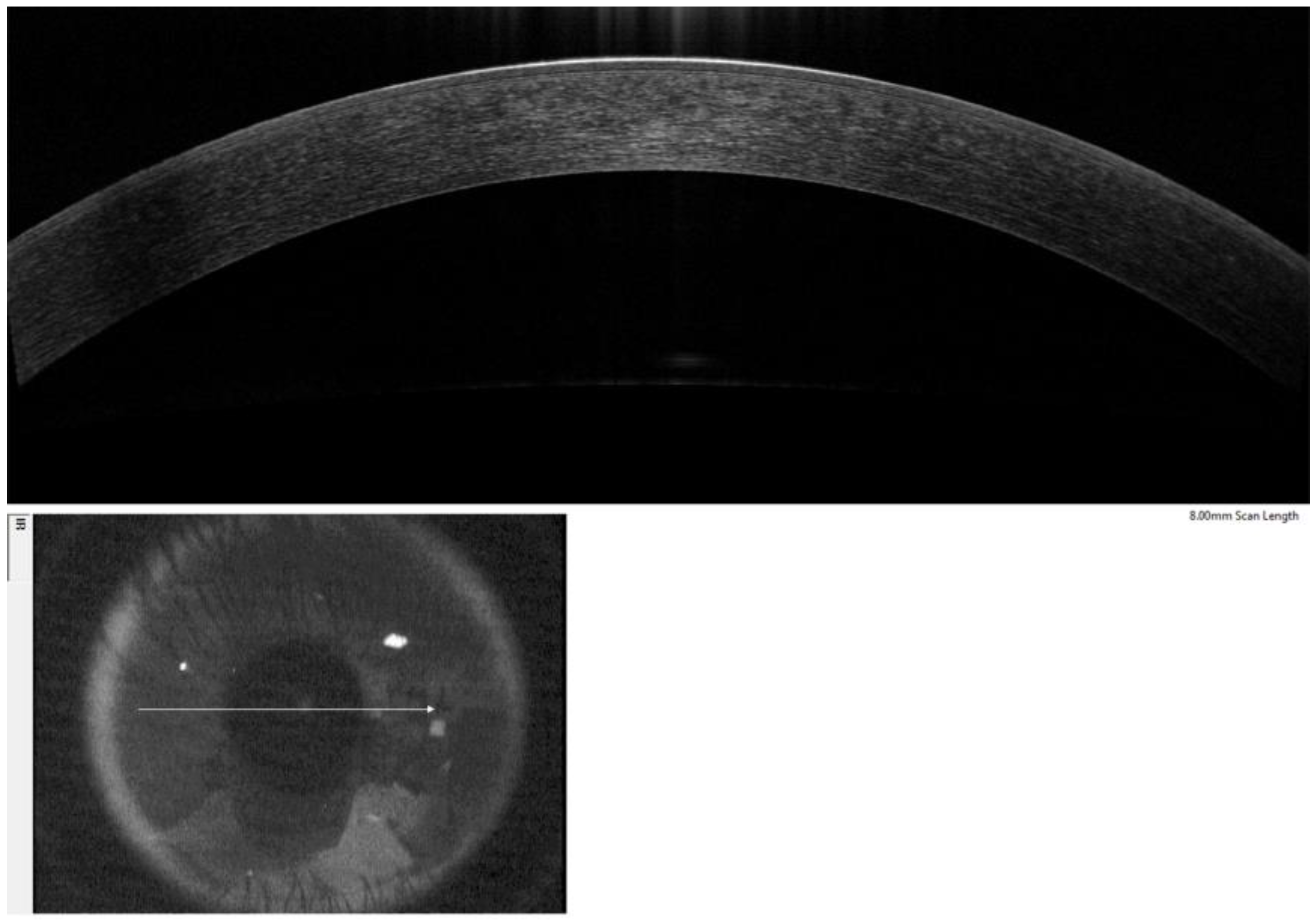 Jcm 11 05879 g005 Jcm 11 05879 g005