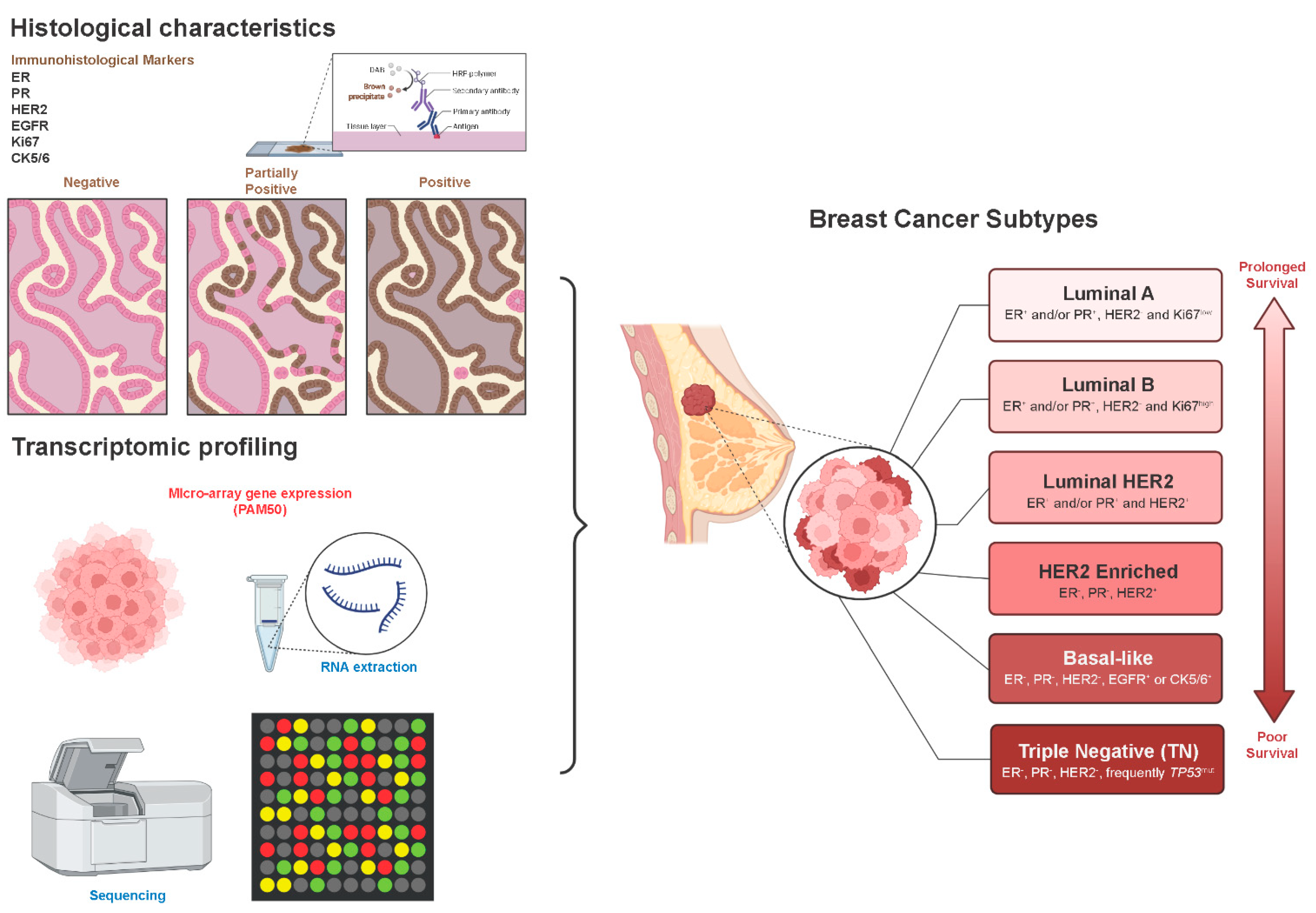 Jcm 11 05891 g001 Jcm 11 05891 g001
