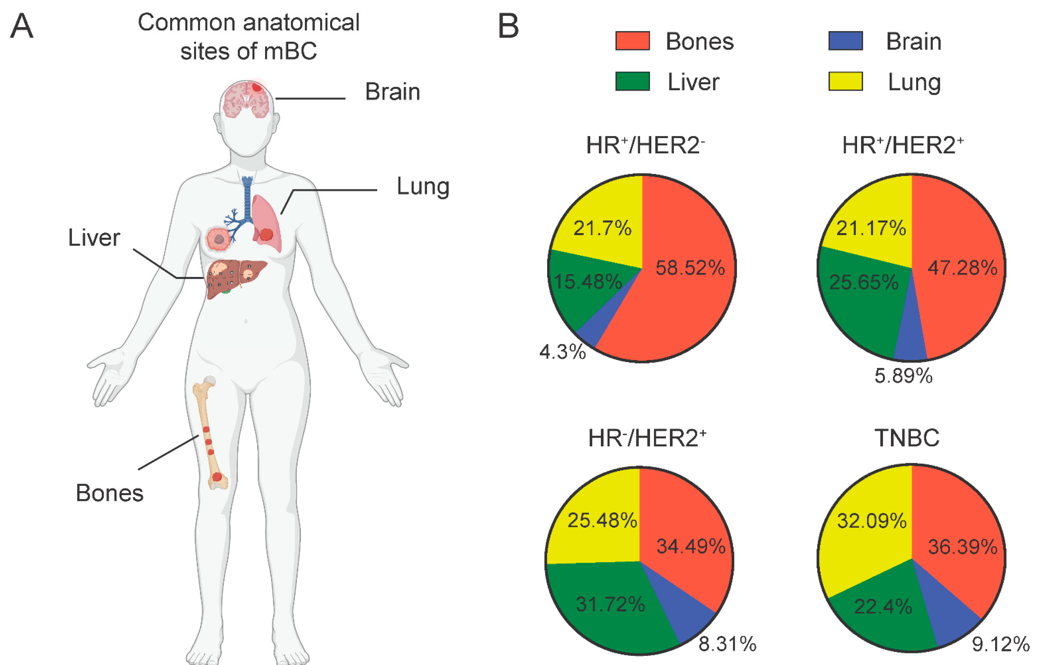 Jcm 11 05891 g002 Jcm 11 05891 g002