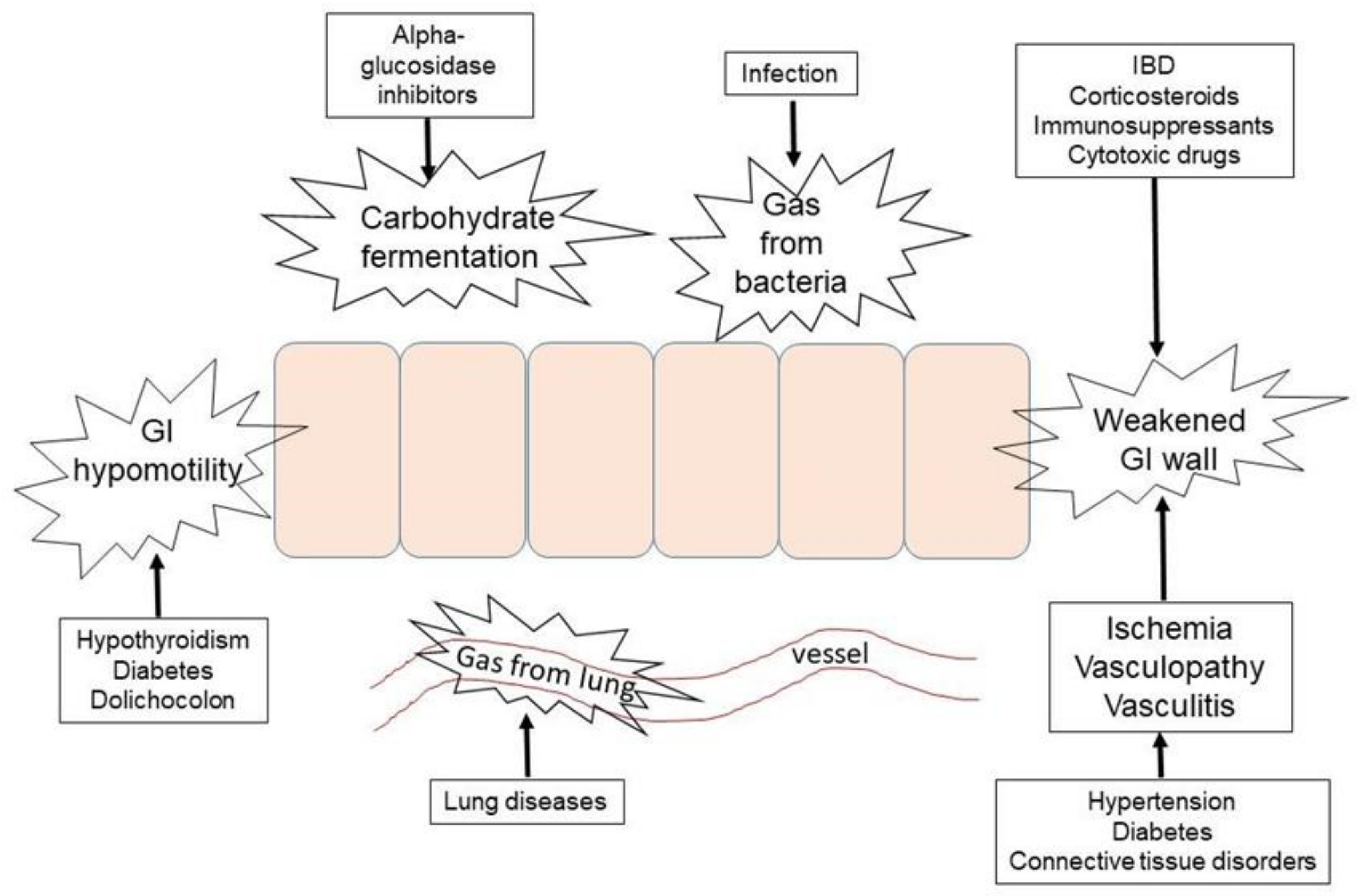 Jcm 11 05918 g003 Jcm 11 05918 g003