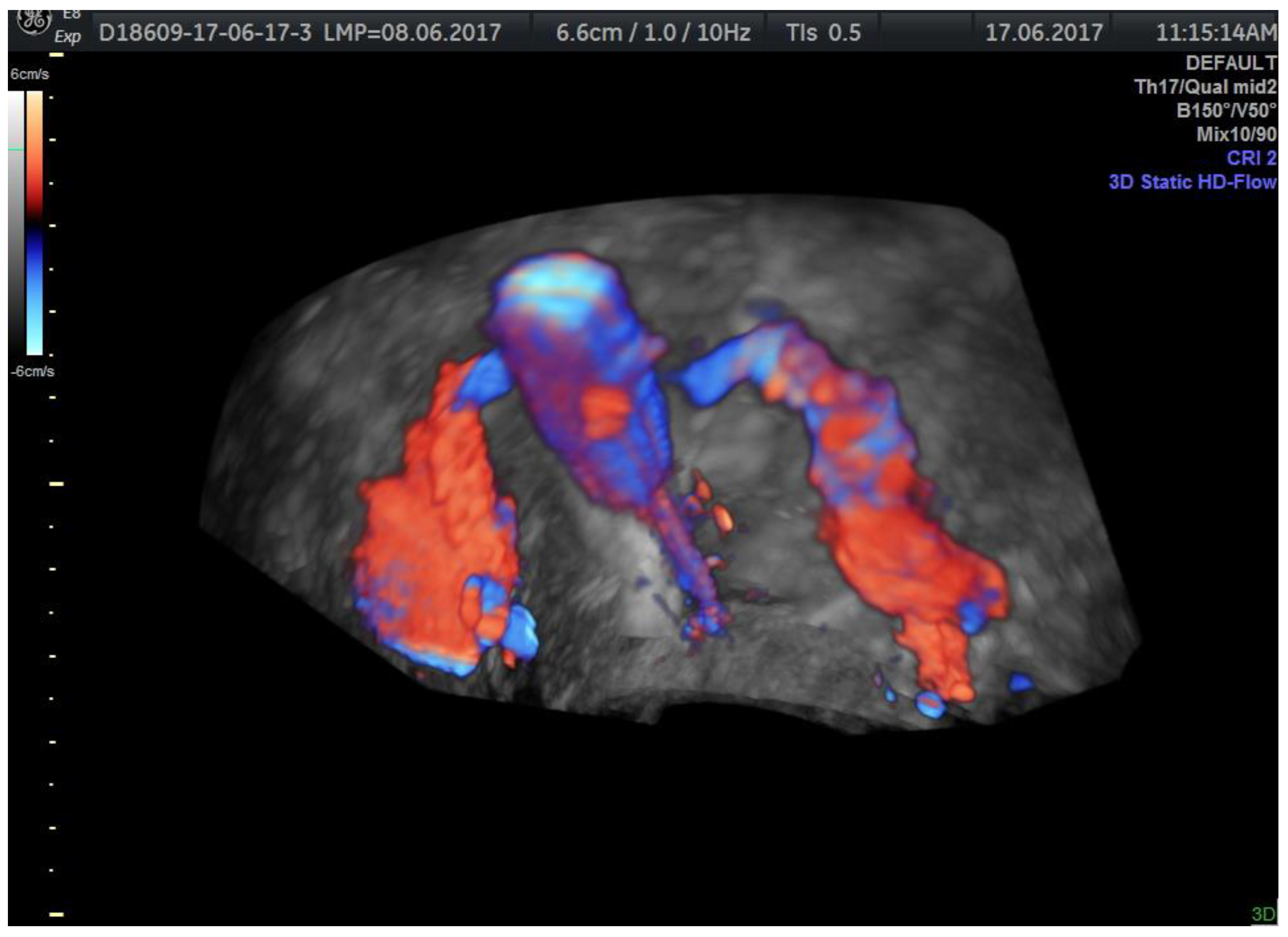 Jcm 11 05946 g010 Jcm 11 05946 g010