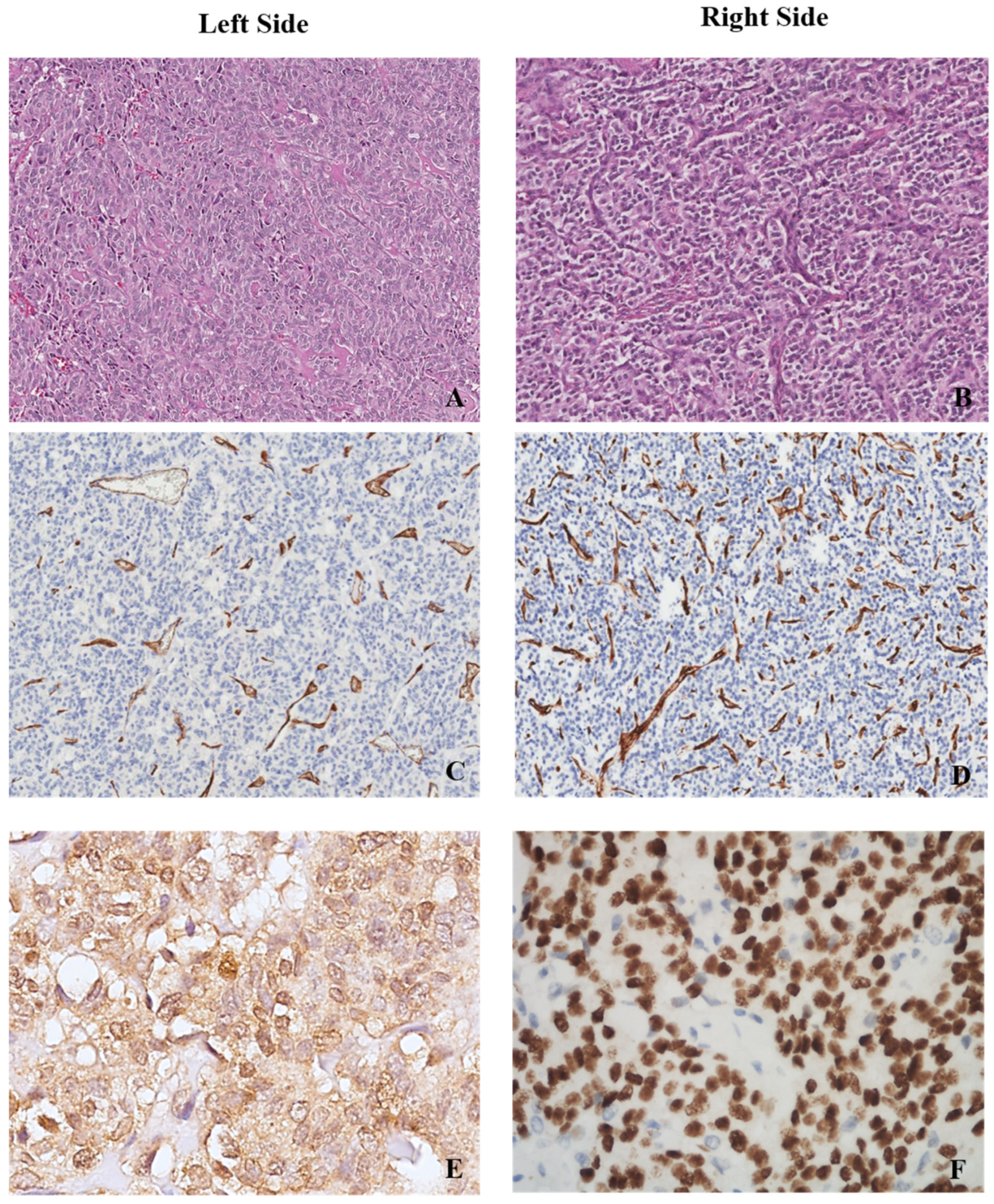 Jcm 11 05958 g001 Jcm 11 05958 g001