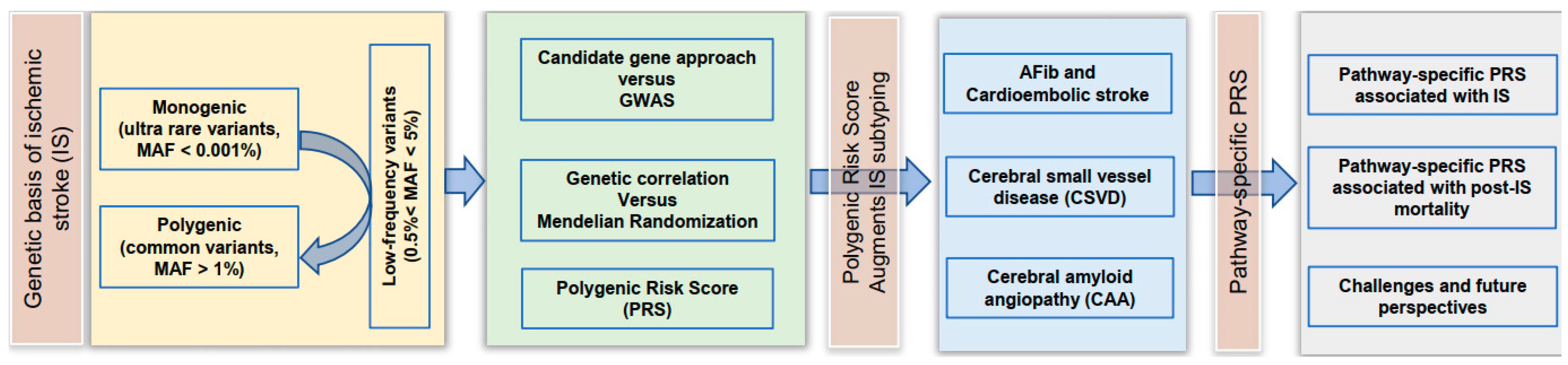 Jcm 11 05980 g001 Jcm 11 05980 g001