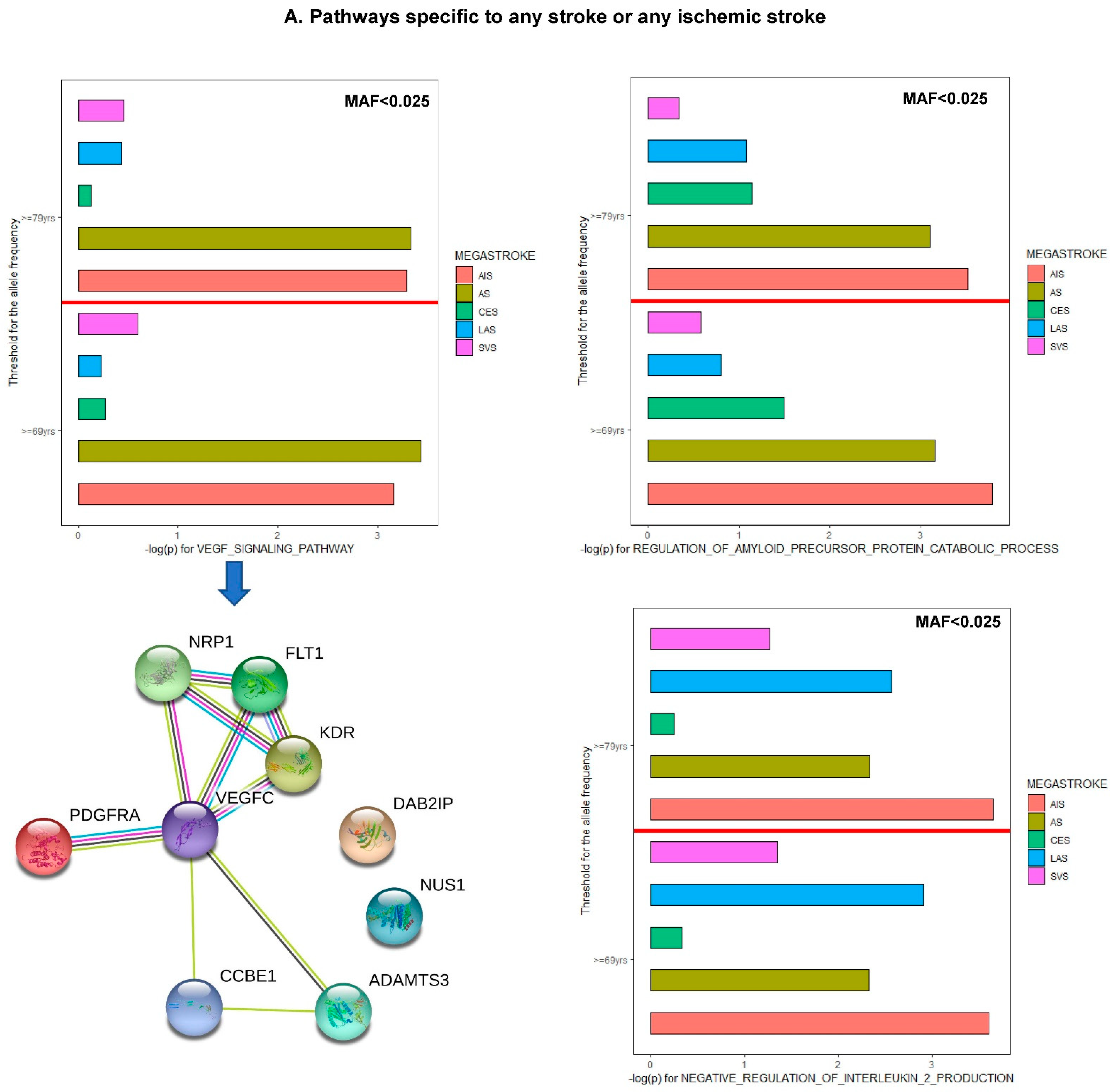 Jcm 11 05980 g005a Jcm 11 05980 g005a