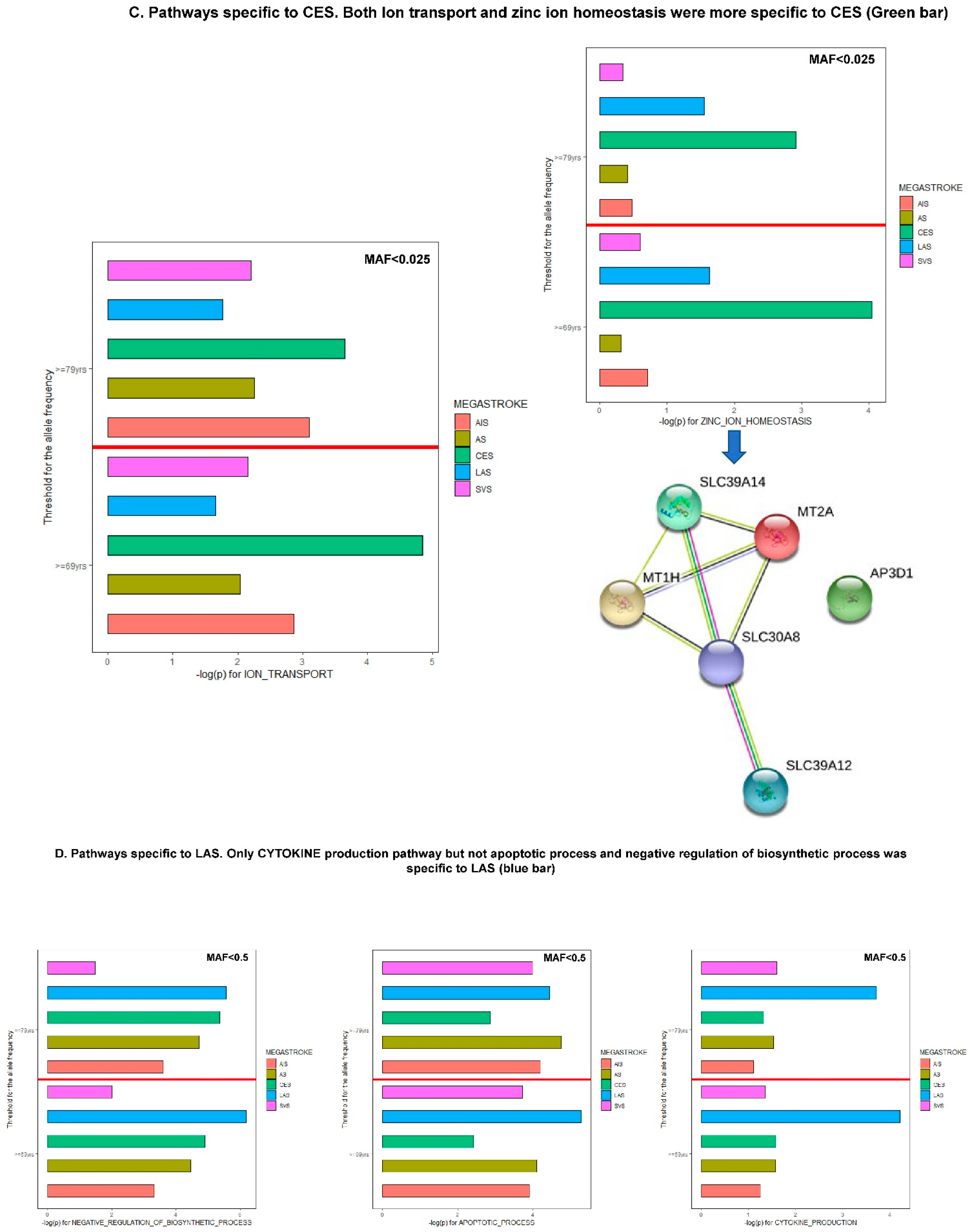 Jcm 11 05980 g005c Jcm 11 05980 g005c