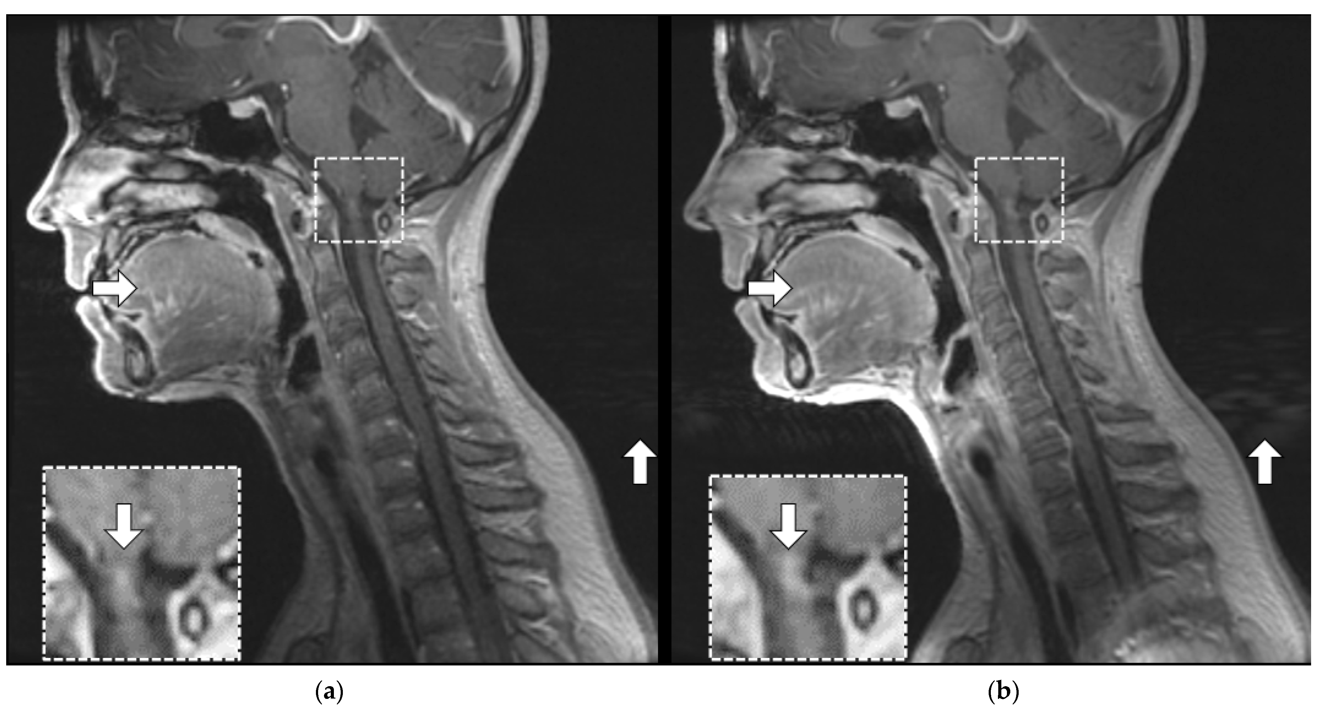 Jcm 11 05984 g005 Jcm 11 05984 g005