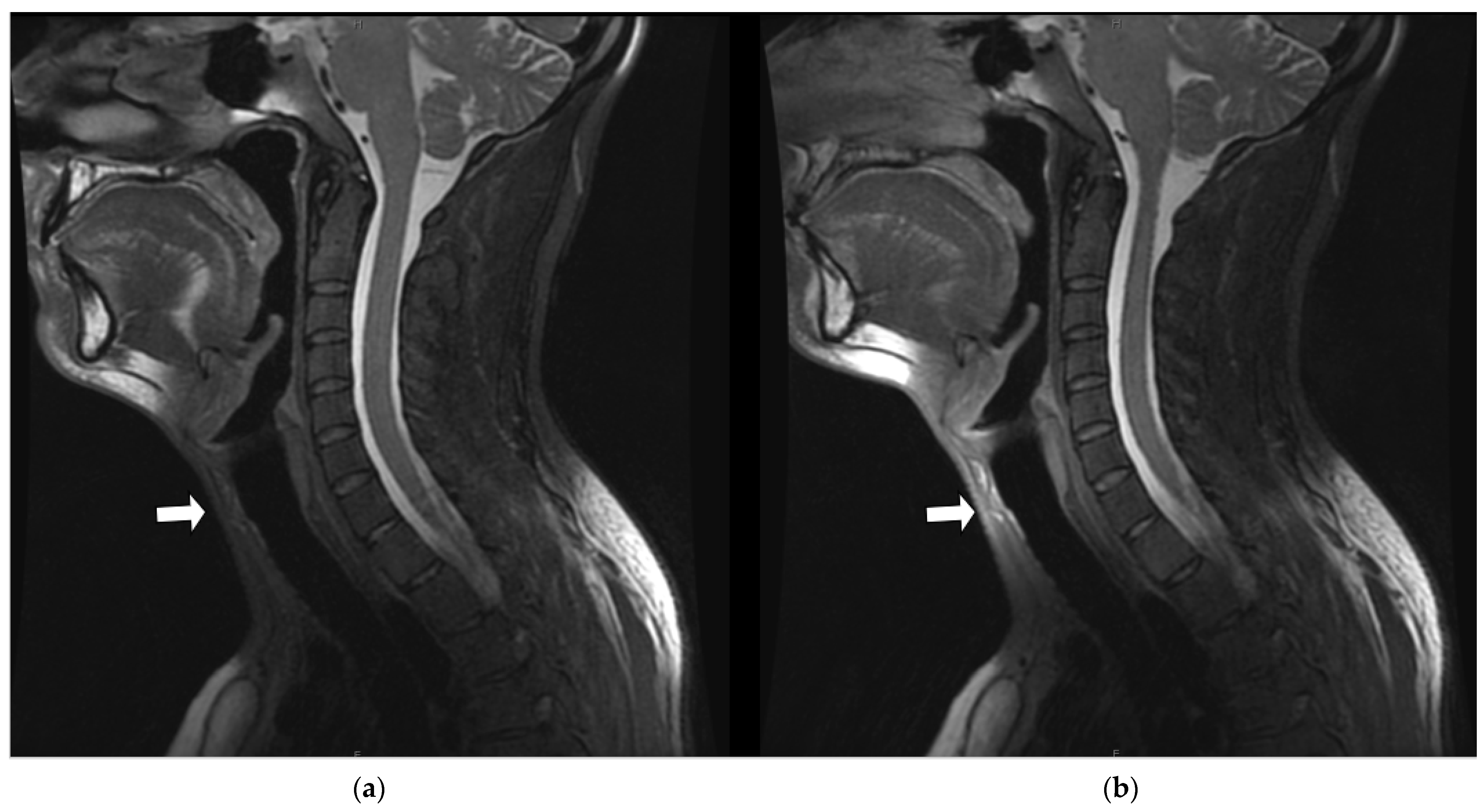 Jcm 11 05984 g006 Jcm 11 05984 g006