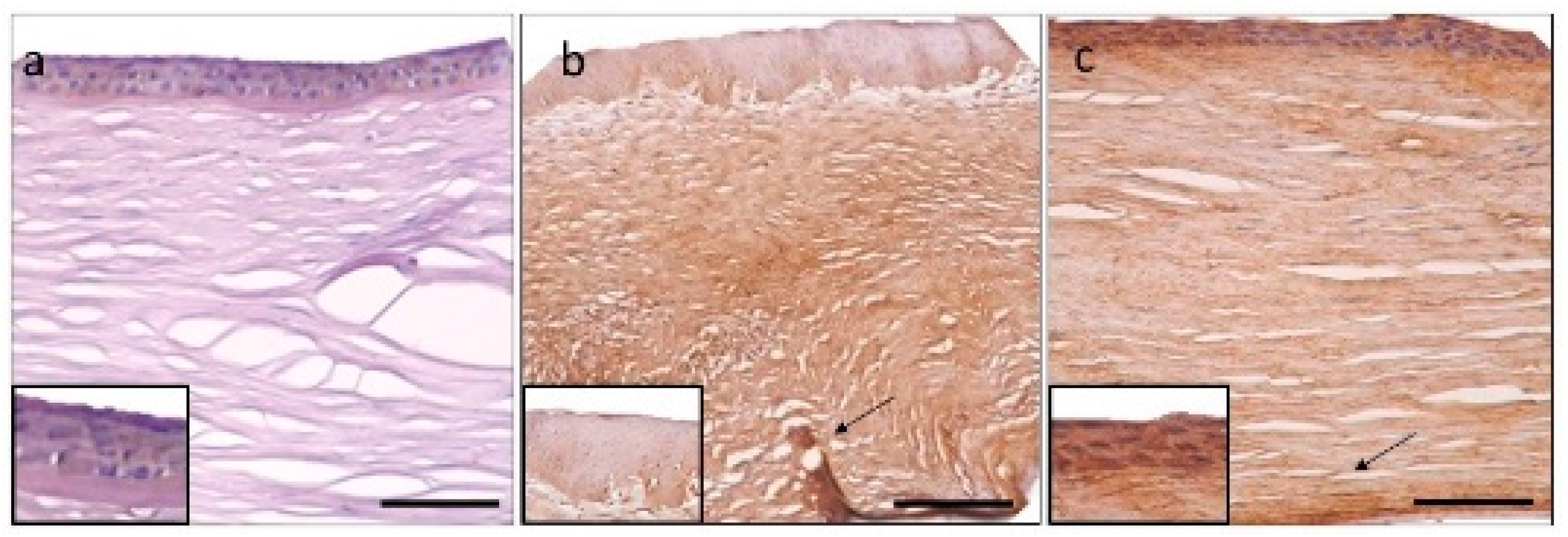 Jcm 11 05991 g006 Jcm 11 05991 g006