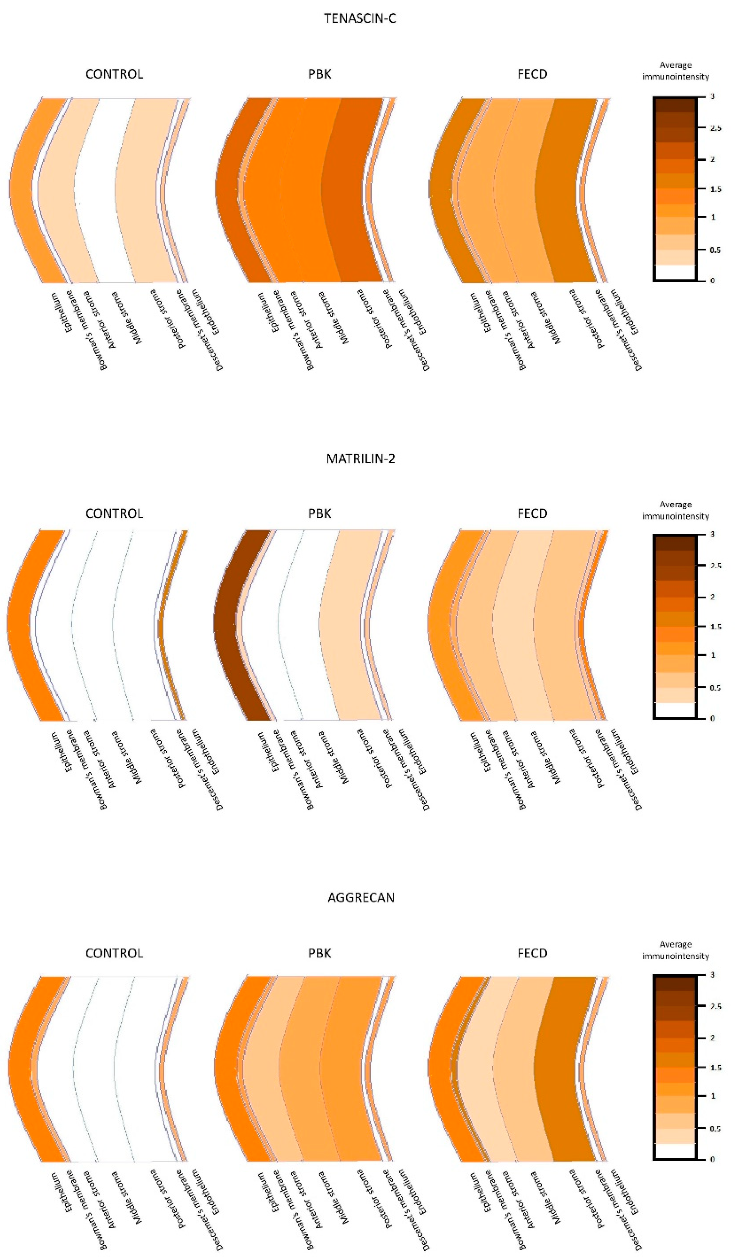 Jcm 11 05991 g007 Jcm 11 05991 g007