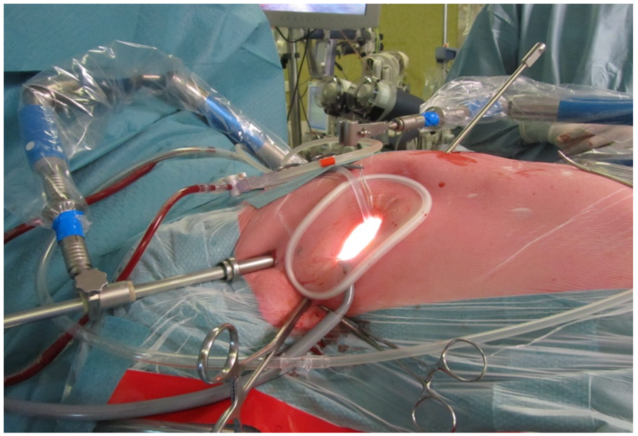 Jcm 11 05993 g003 Jcm 11 05993 g003