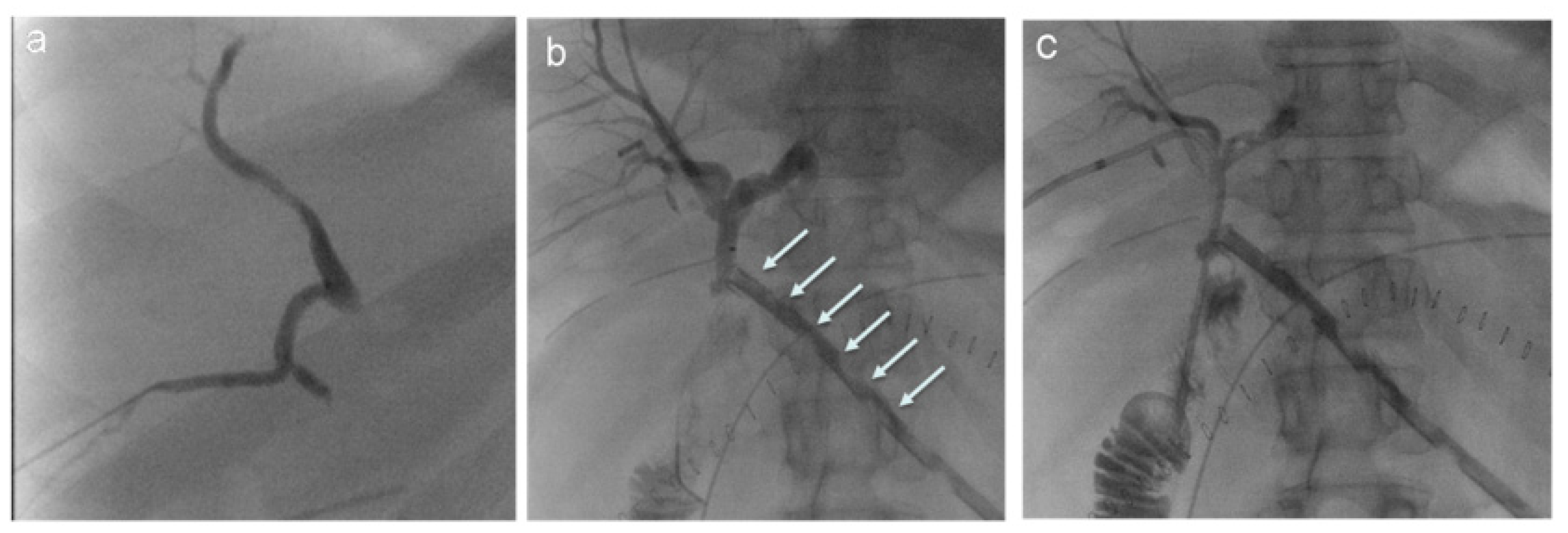 Jcm 11 06005 g003 Jcm 11 06005 g003