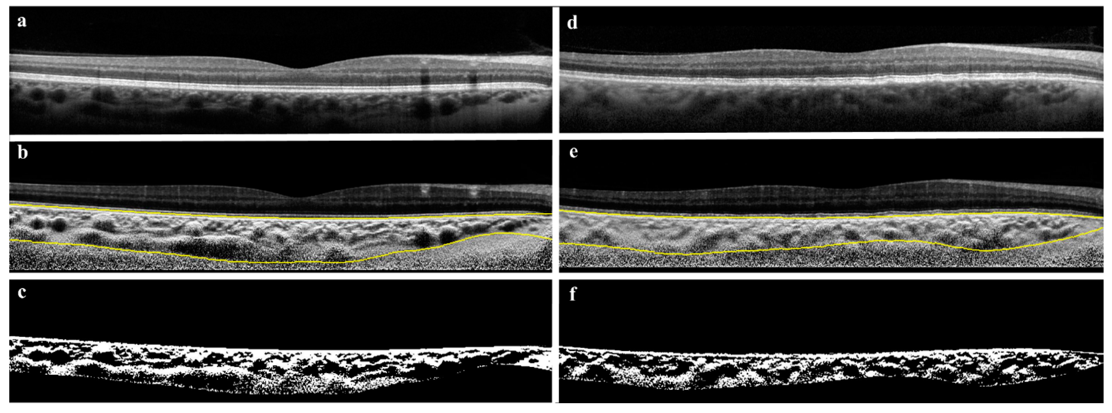 Jcm 11 06012 g003 Jcm 11 06012 g003