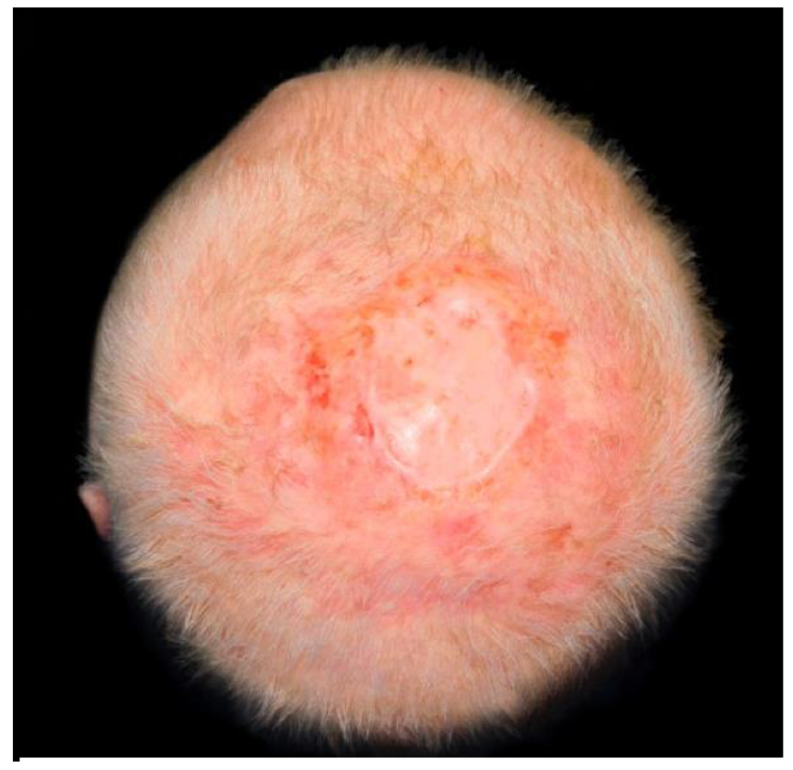 Jcm 11 06041 g002 Jcm 11 06041 g002