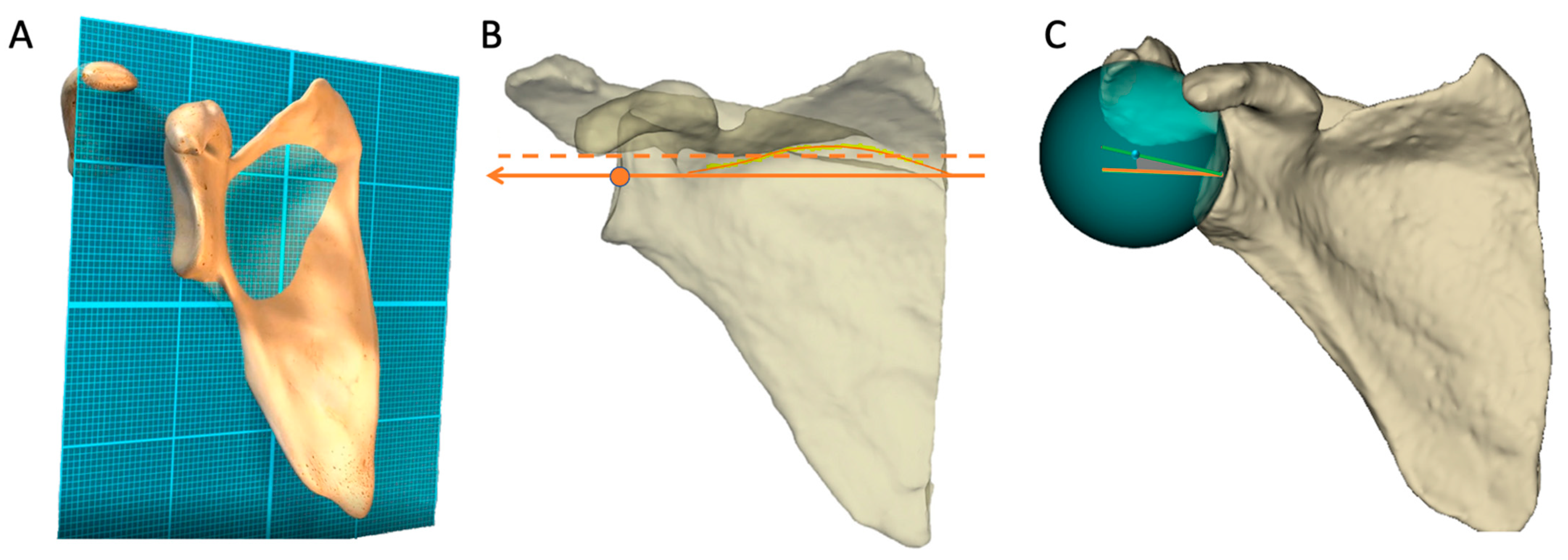 Jcm 11 06050 g001 Jcm 11 06050 g001