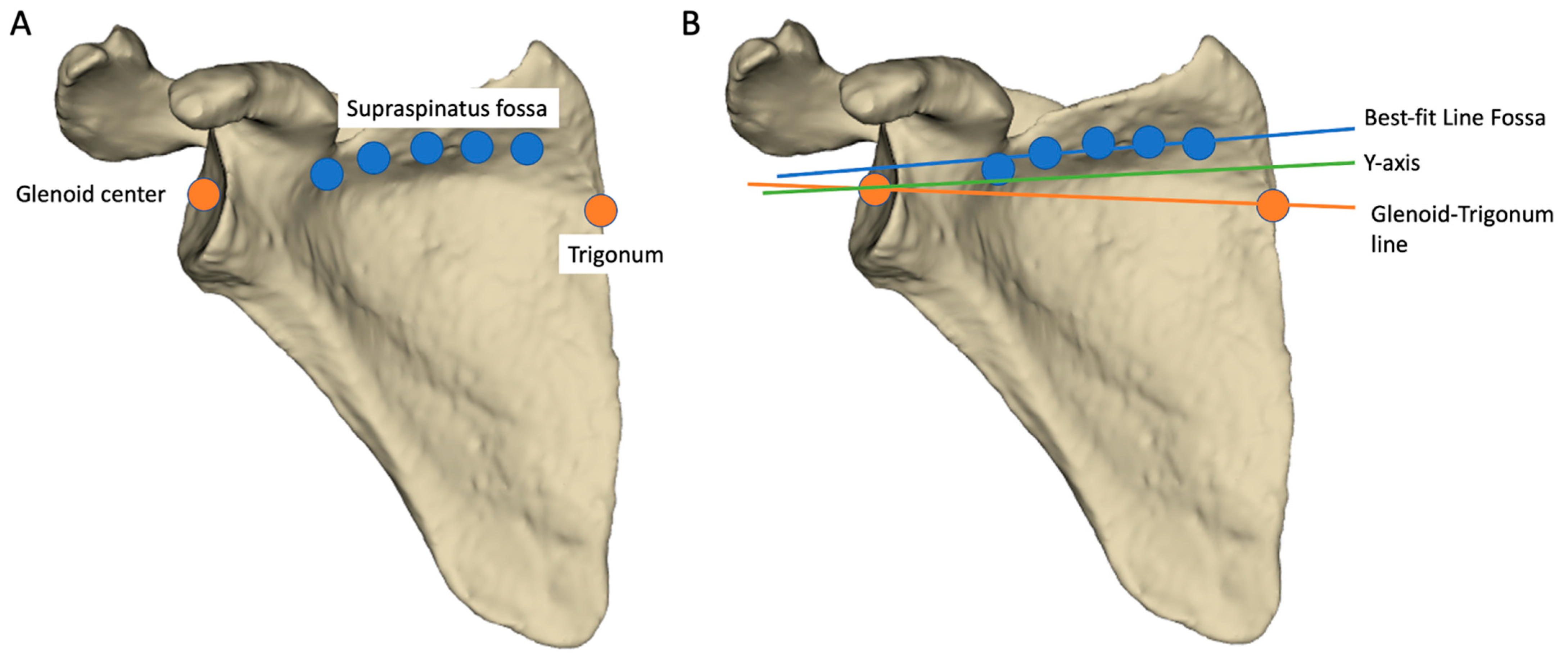 Jcm 11 06050 g002 Jcm 11 06050 g002