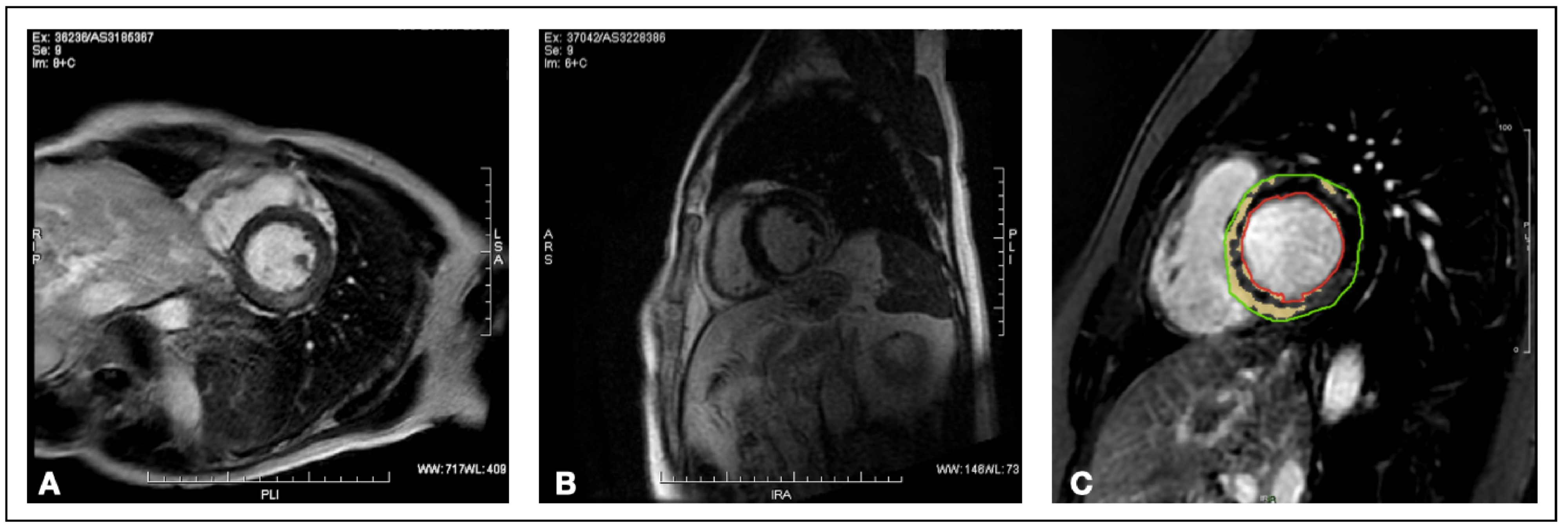 Jcm 11 06082 g001 Jcm 11 06082 g001